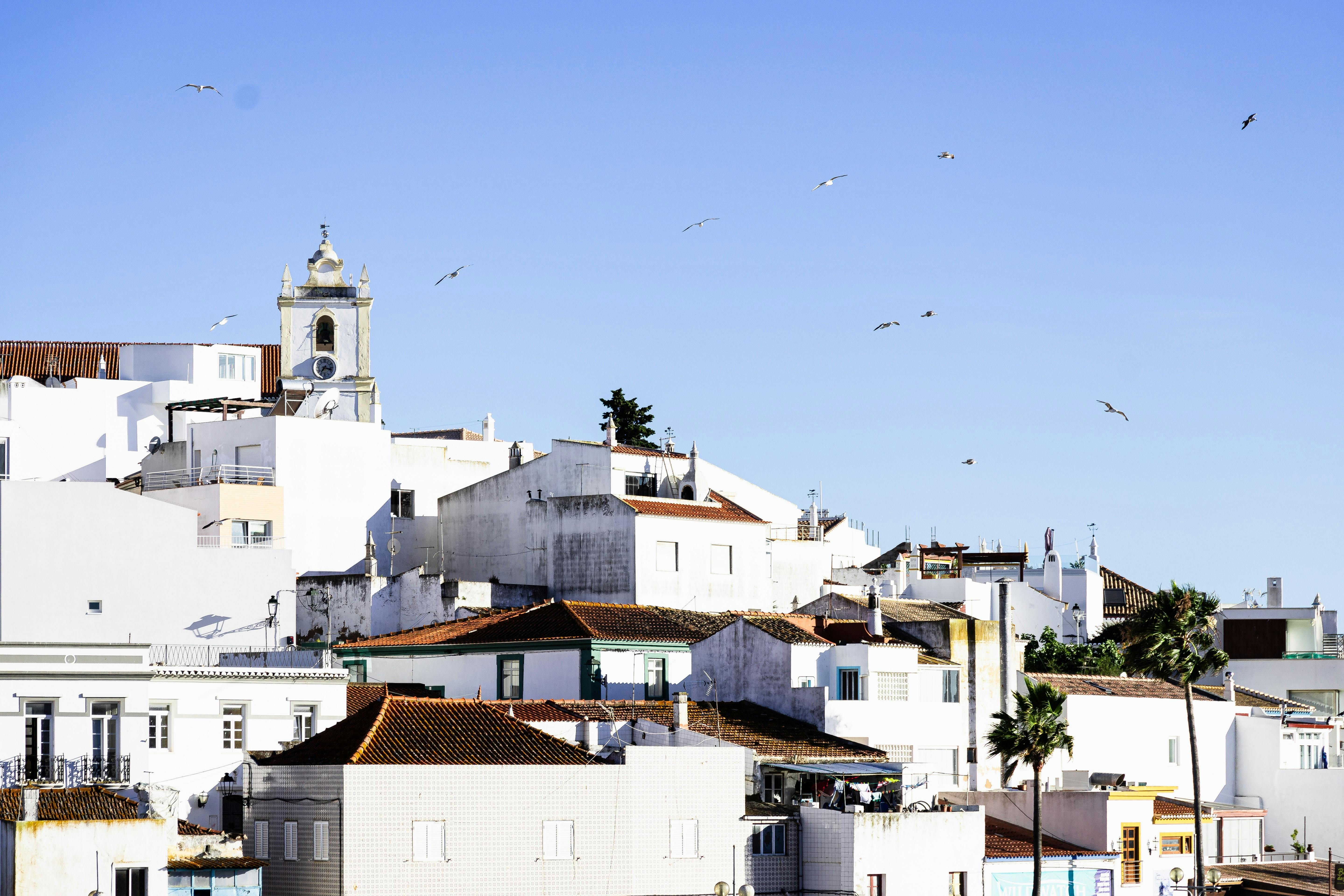 white houses in Algarve