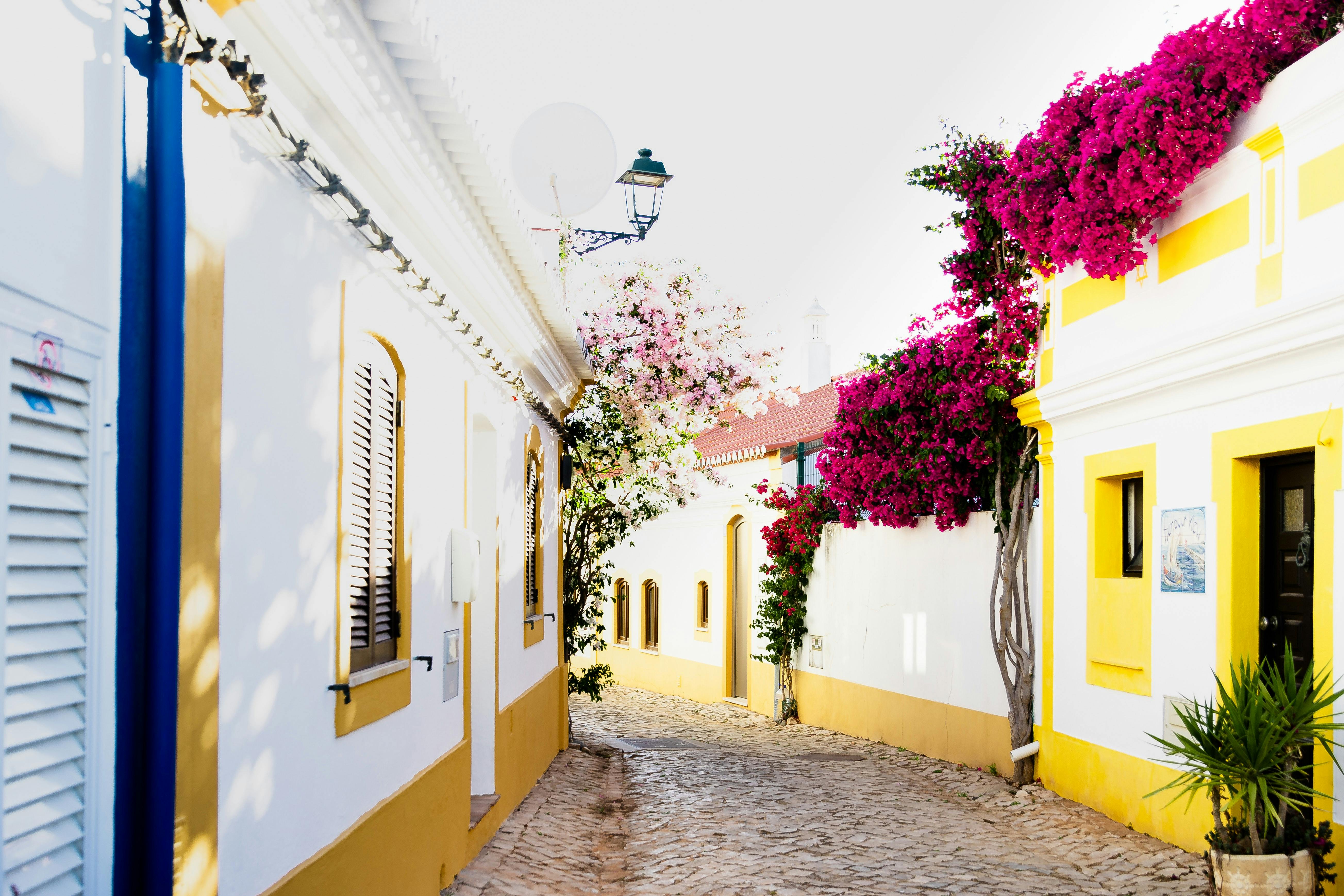 Narrow street with white and yellow houses and pink flowers