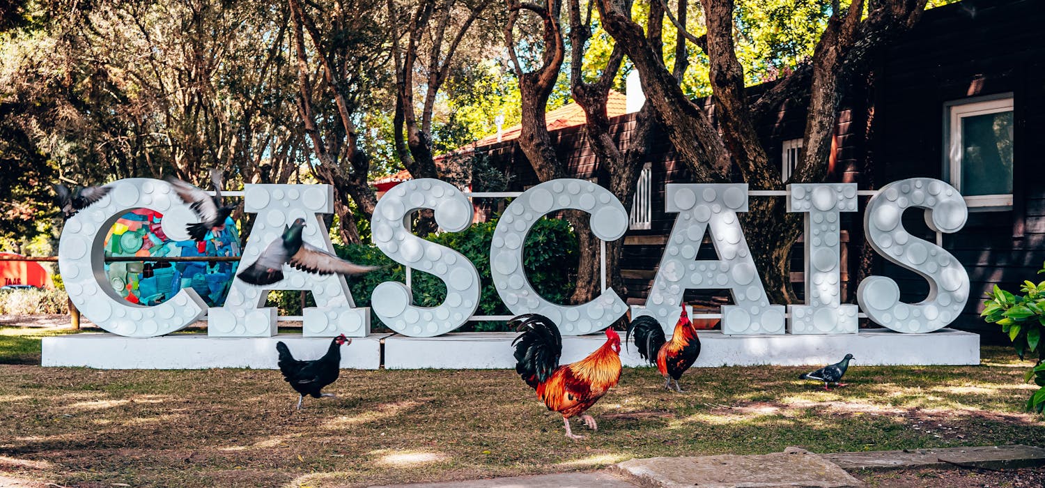 CASCAIS escrito em letras grandes brancas ao fundo no Parque Marechal Carmona, com galinhas passeando em primeiro plano.