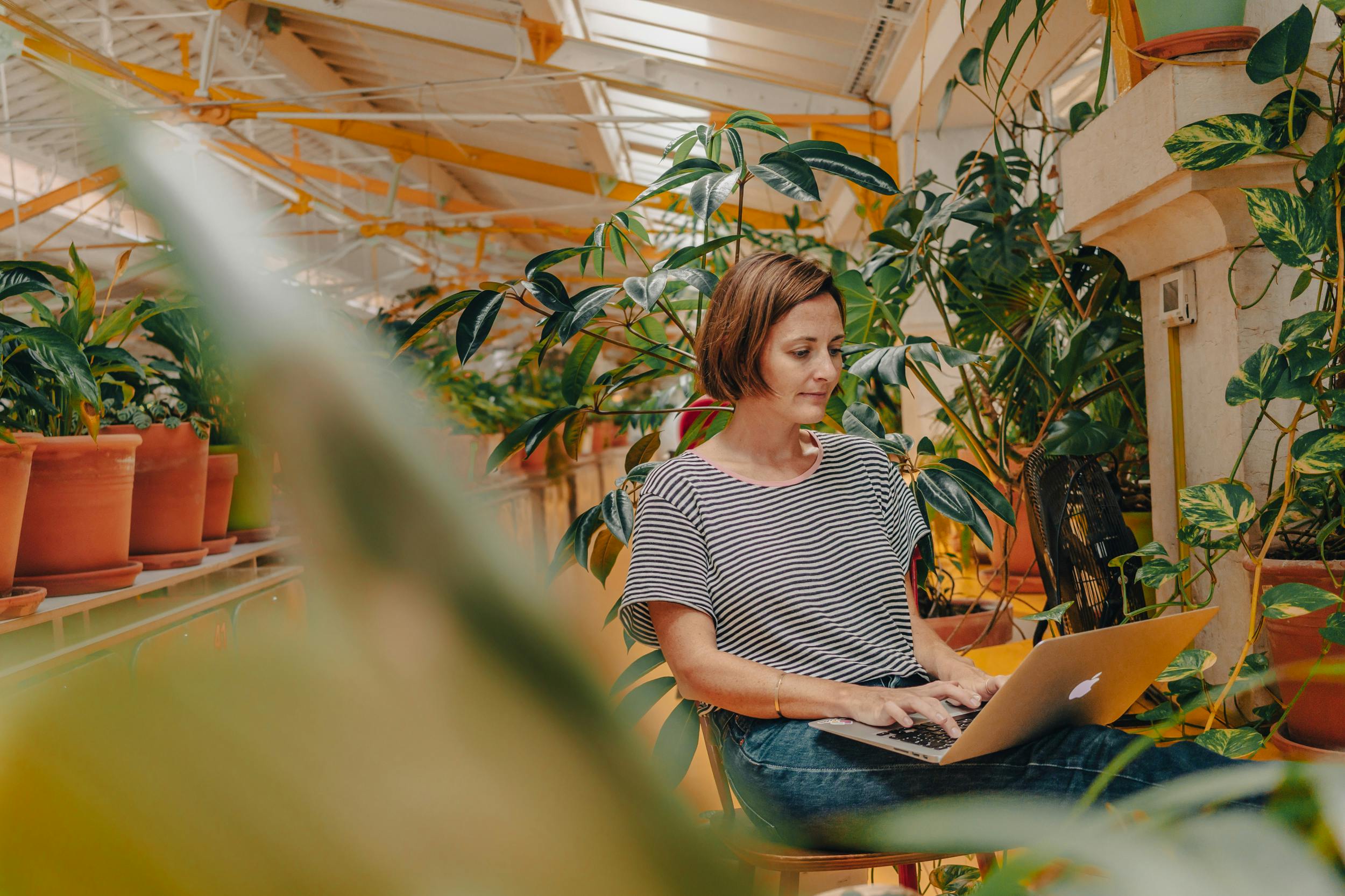 Woman sitting on a chair and looking at her laptop, surrounded by vased plants