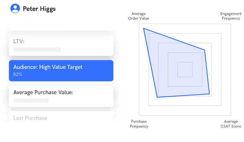 audience segmentation