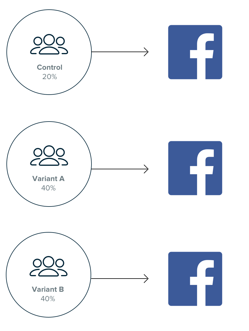 audience data