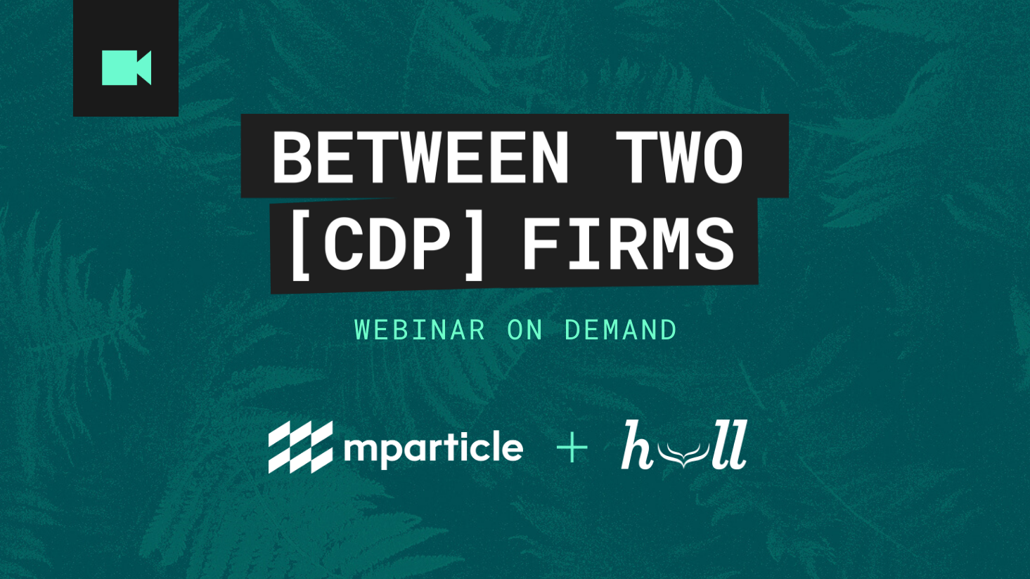Between two firms Featuring Hull and mParticle, moderated by the CDP