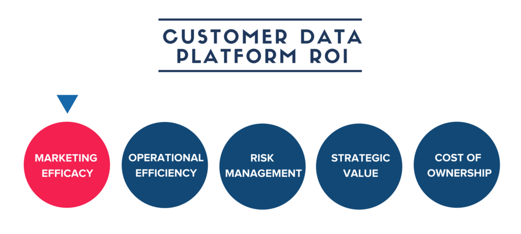 customer data platform roi