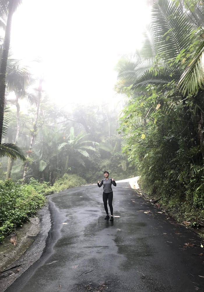 Hiking in the PR Jungle