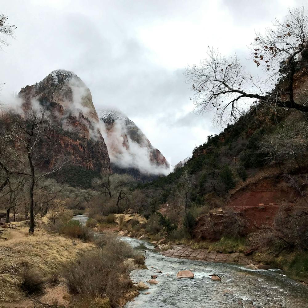 Zion National Park, UT