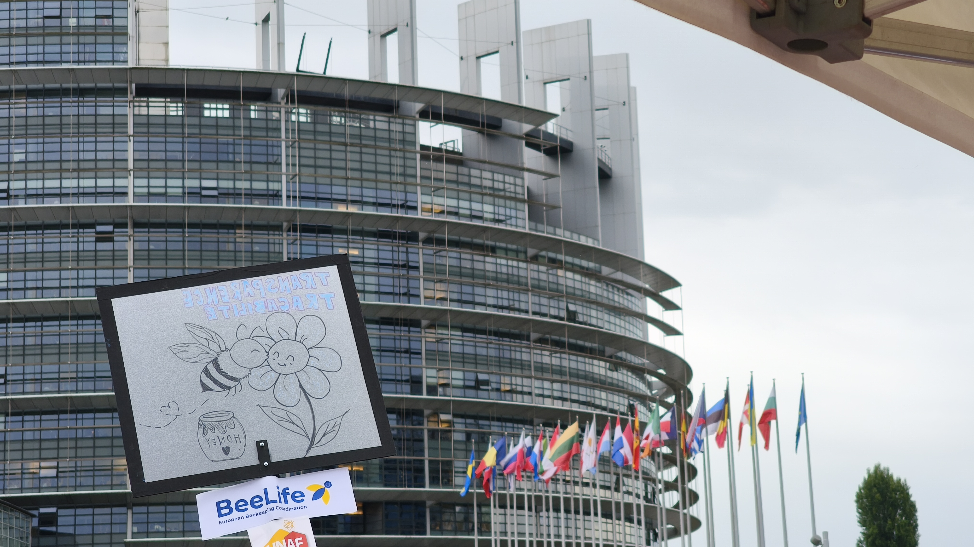 anti NTG parlement europeen