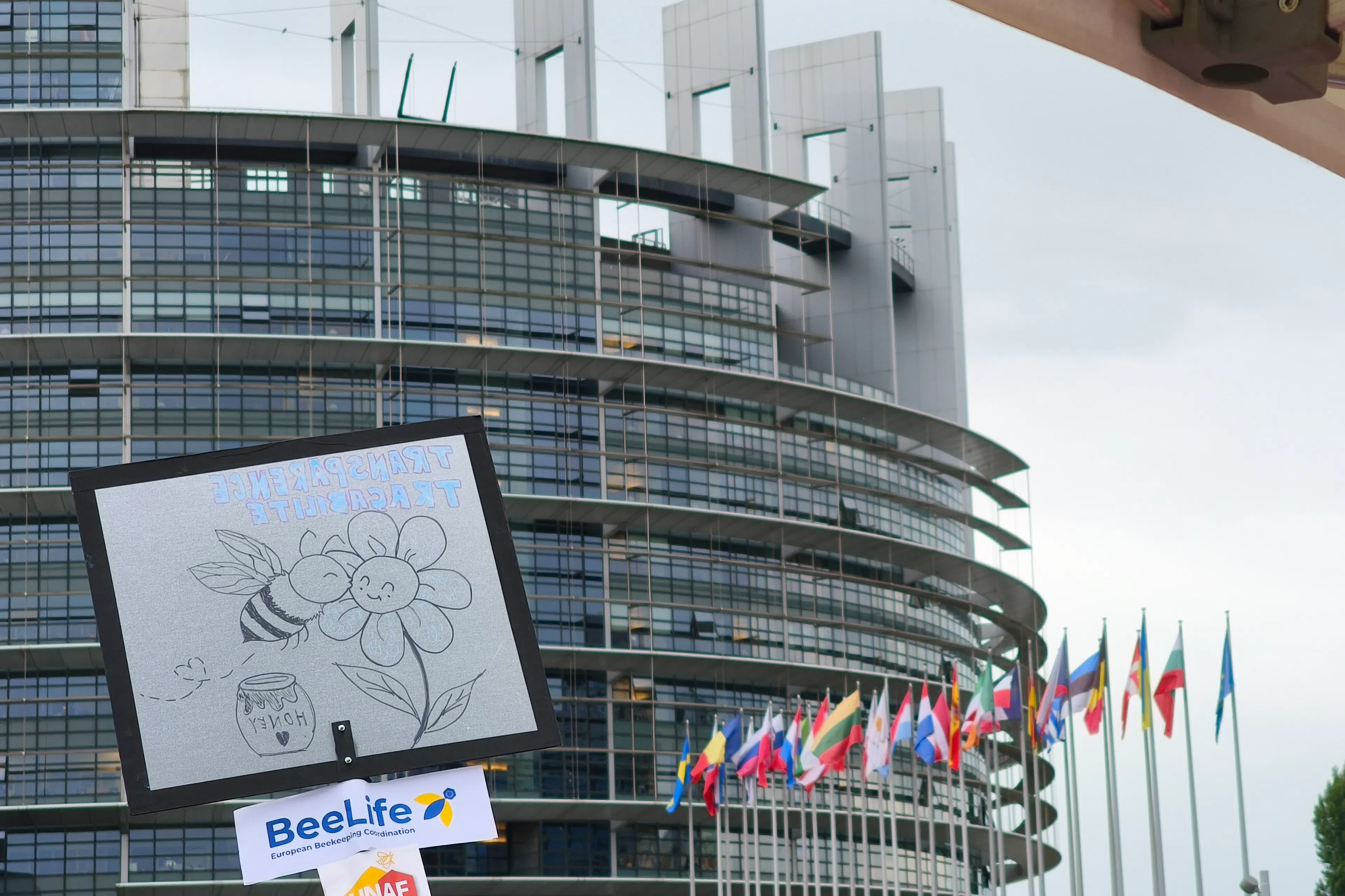anti NTG parlement europeen