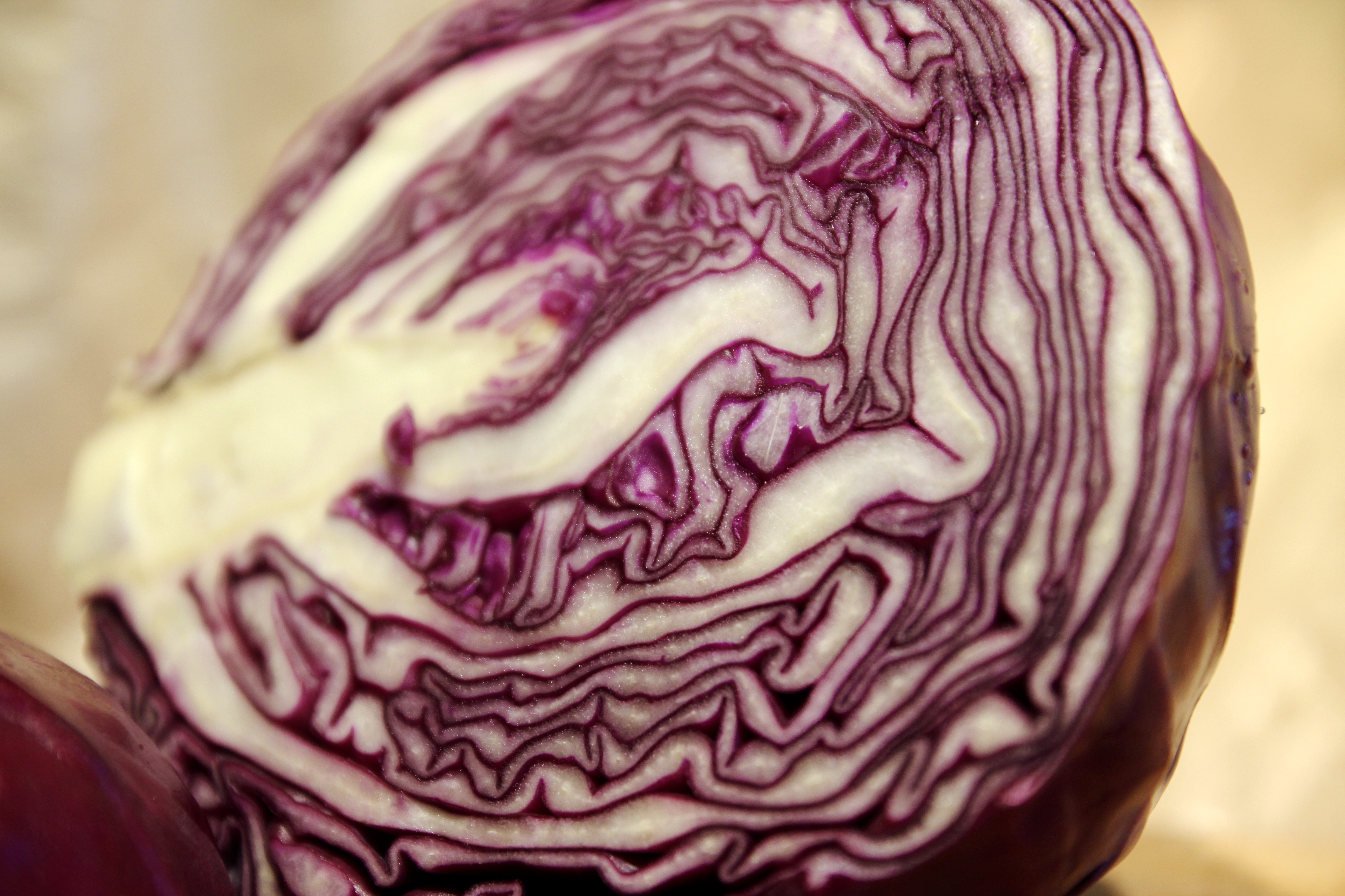 coeur d'un chou rouge