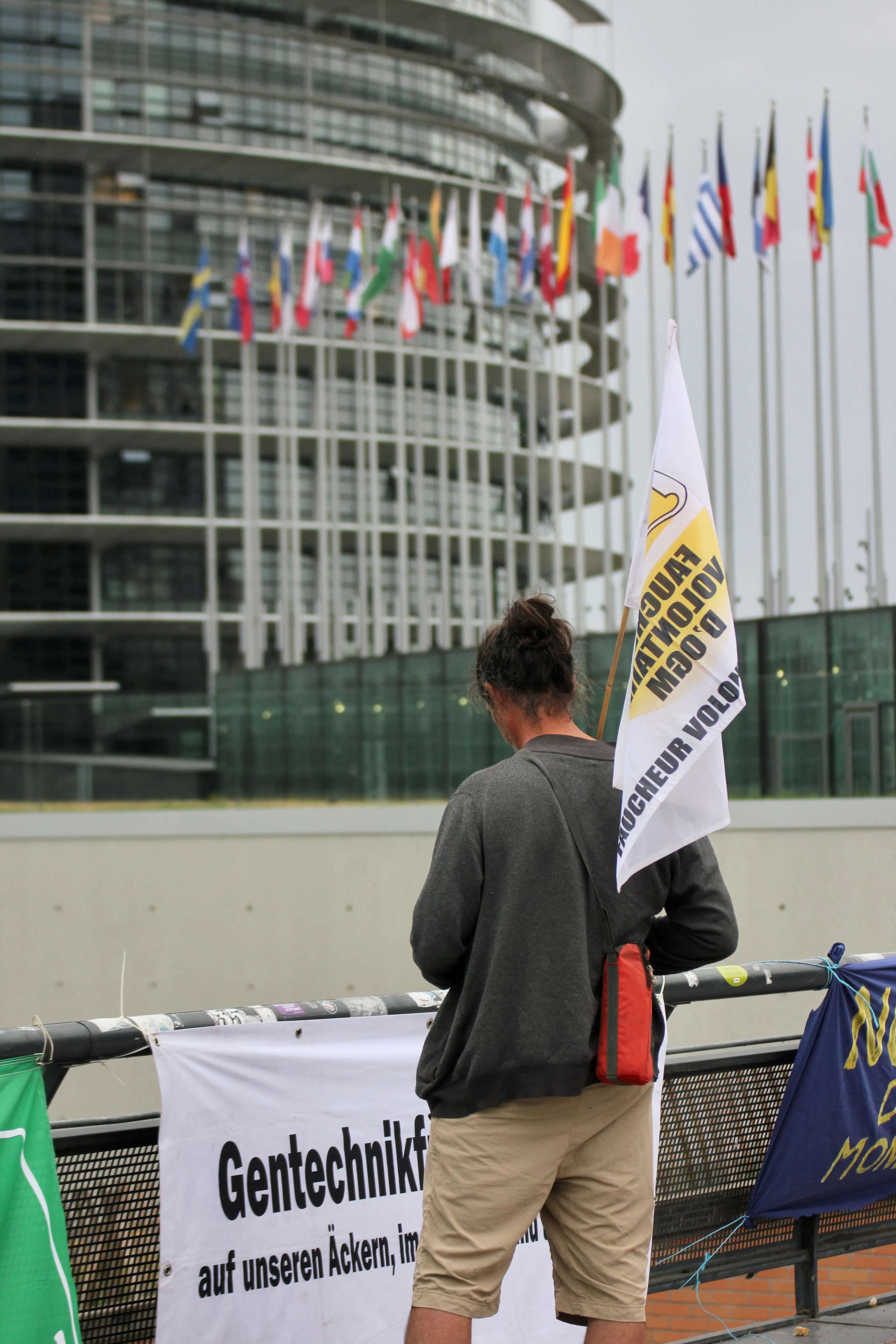 Faucheur Europe NTG