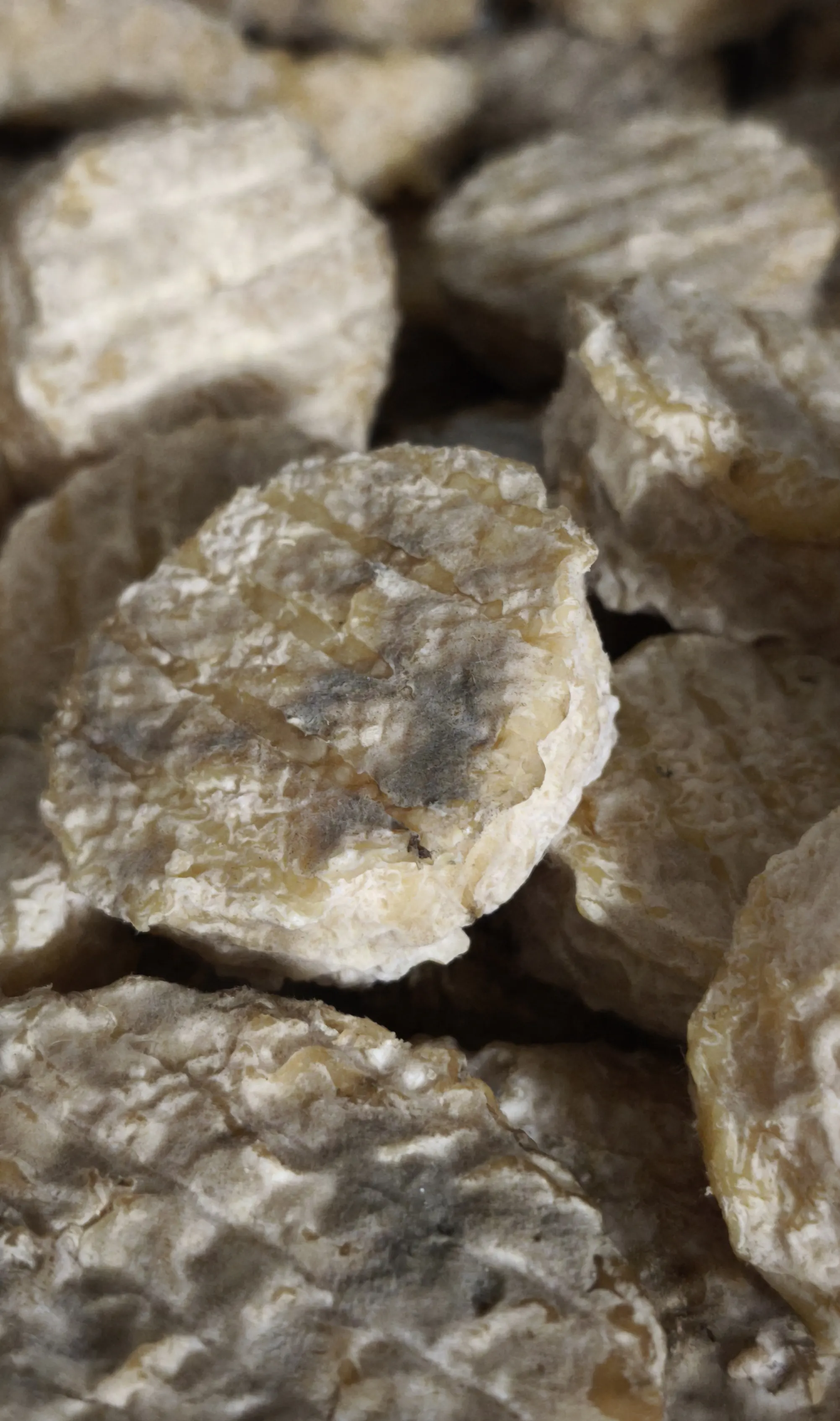 fromages secs