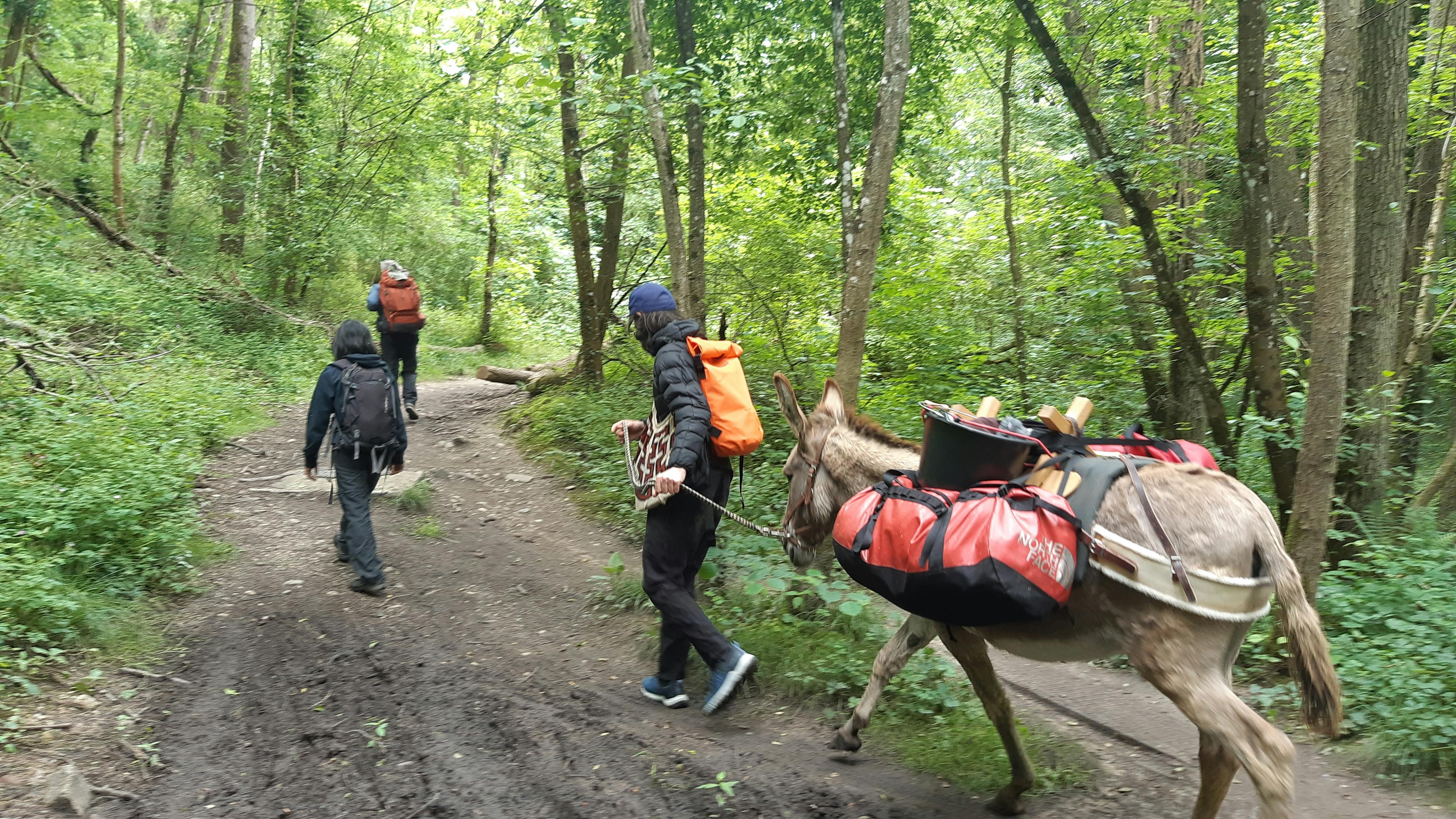 sentier de l'Yseron