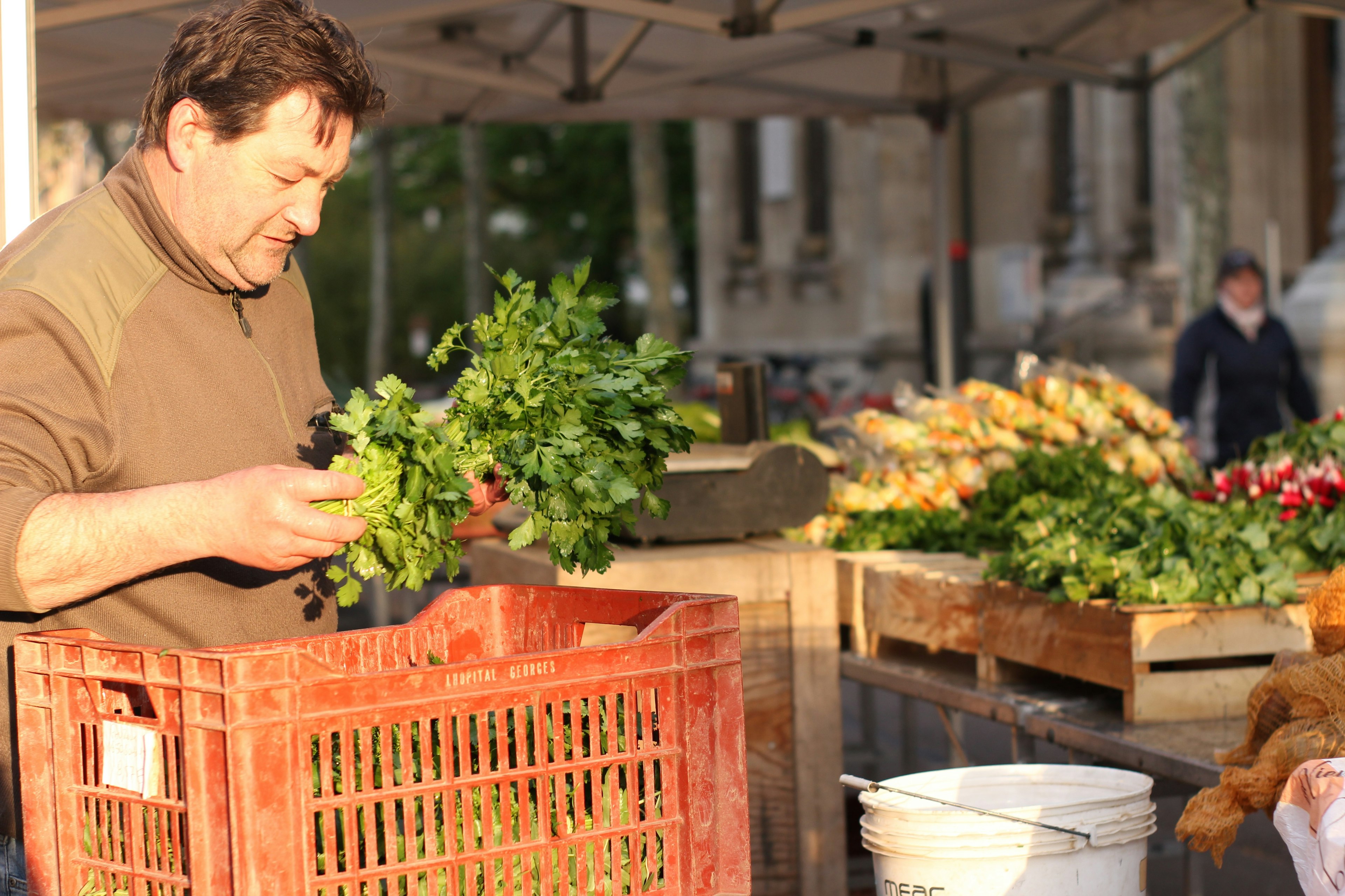 maraîcher à son stand sur le marché