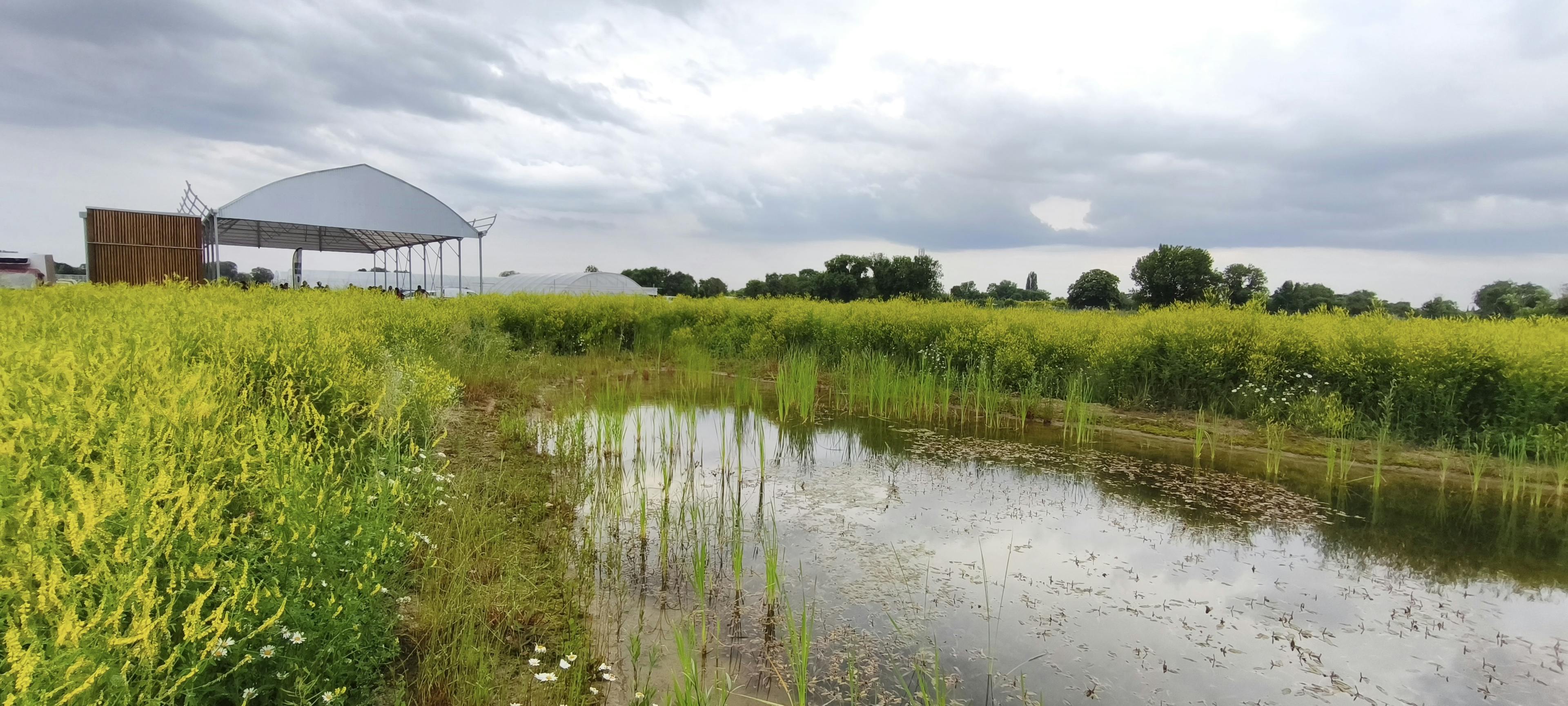 zone humide espace test