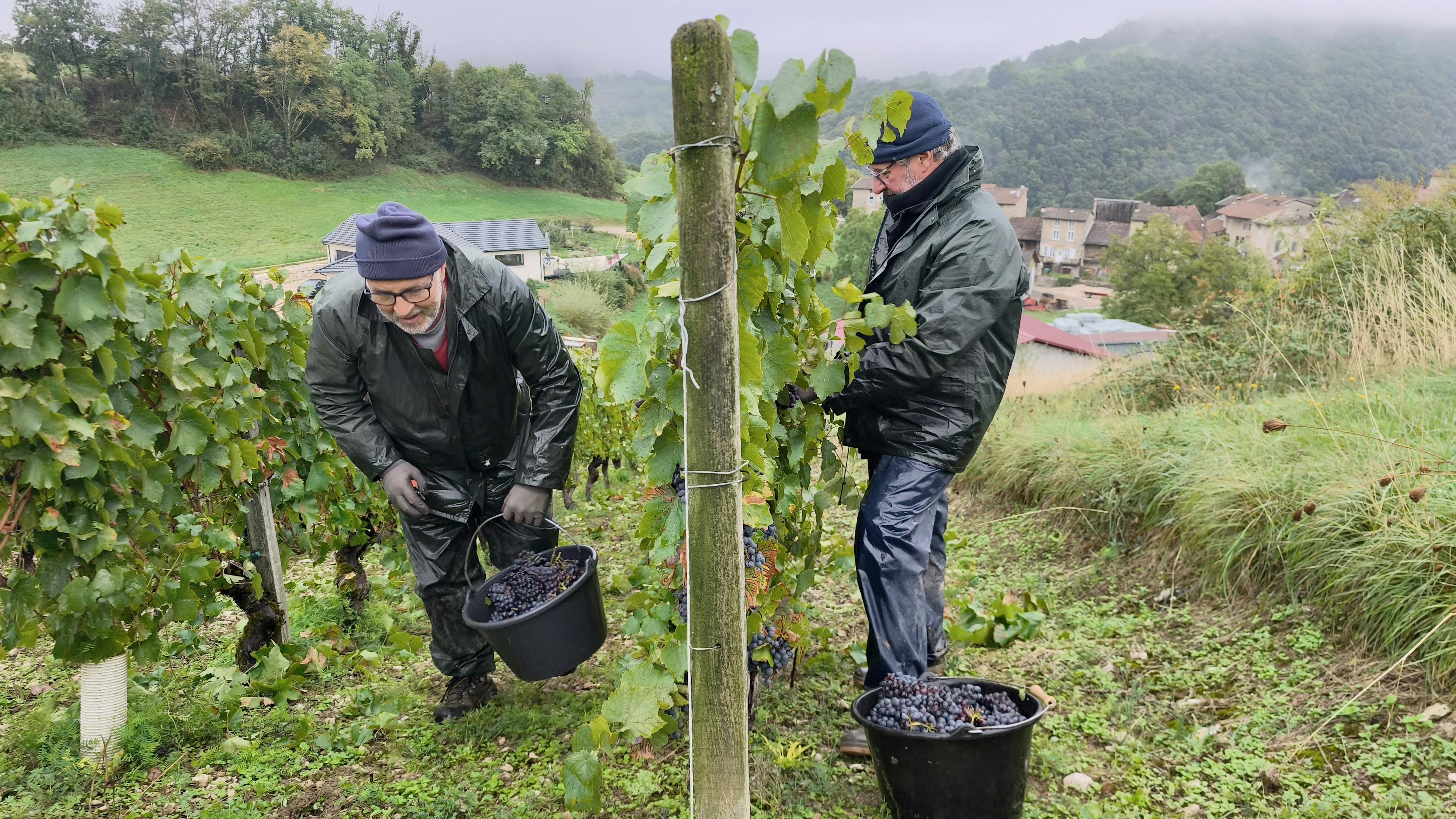 Christian et Thierry - coupeurs