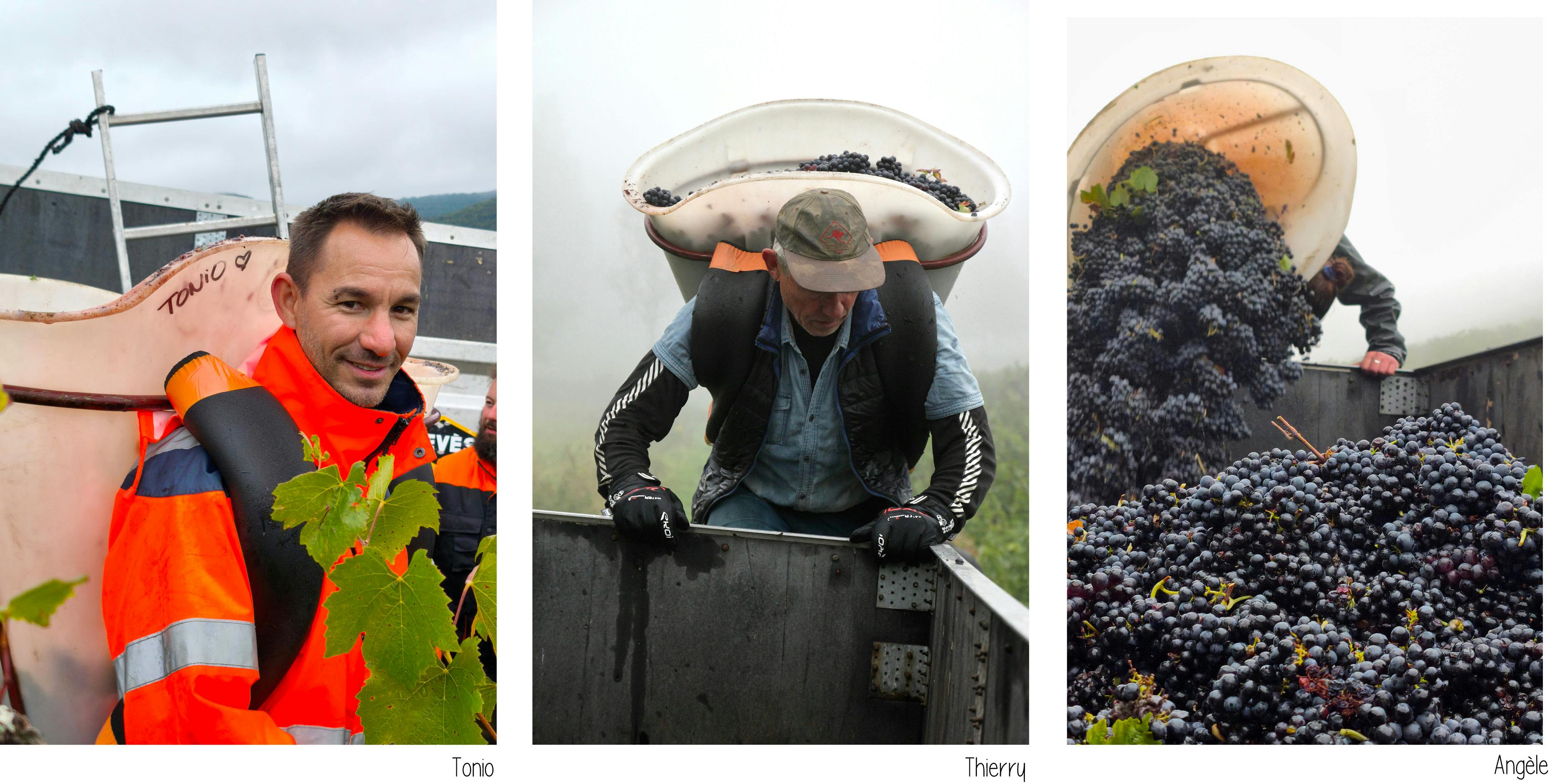 Tonio, Thierry au dessus de la benne, Angèle déversant sa hotte