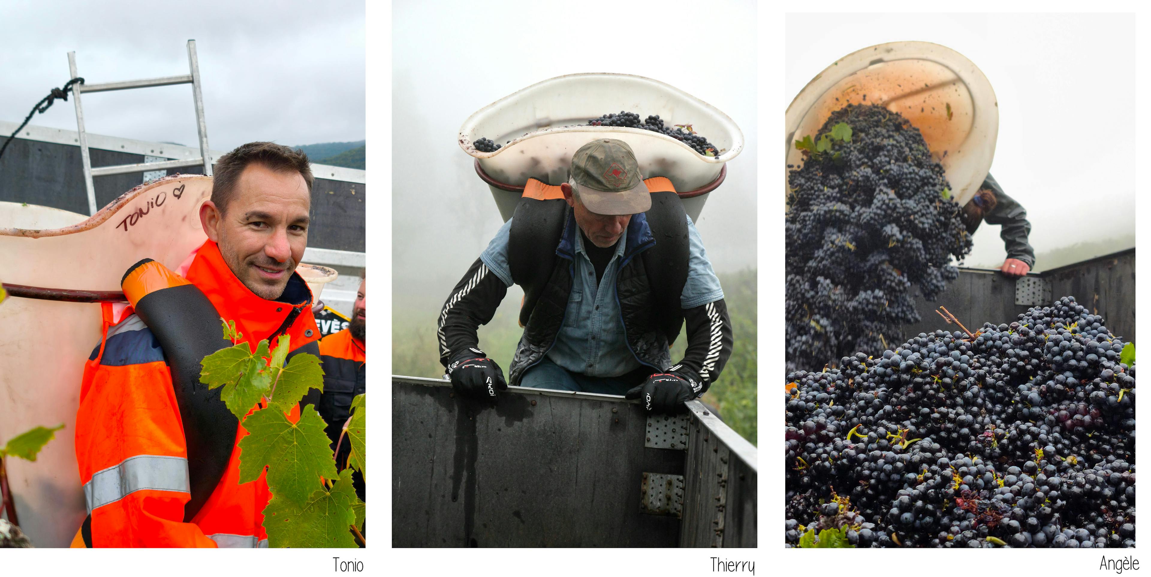 Tonio, Thierry au dessus de la benne, Angèle déversant sa hotte