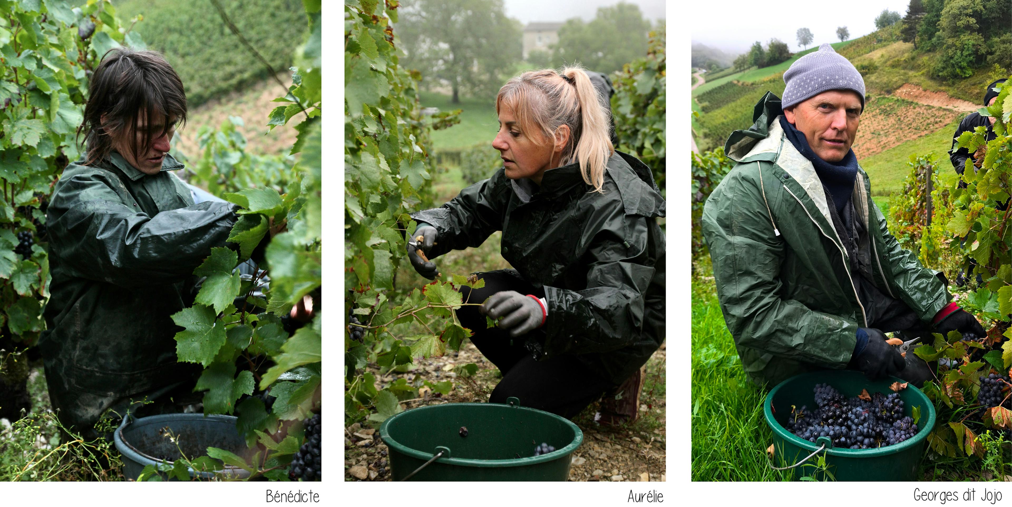 bénédicte et aurélie à la coupe, portrait de jojo