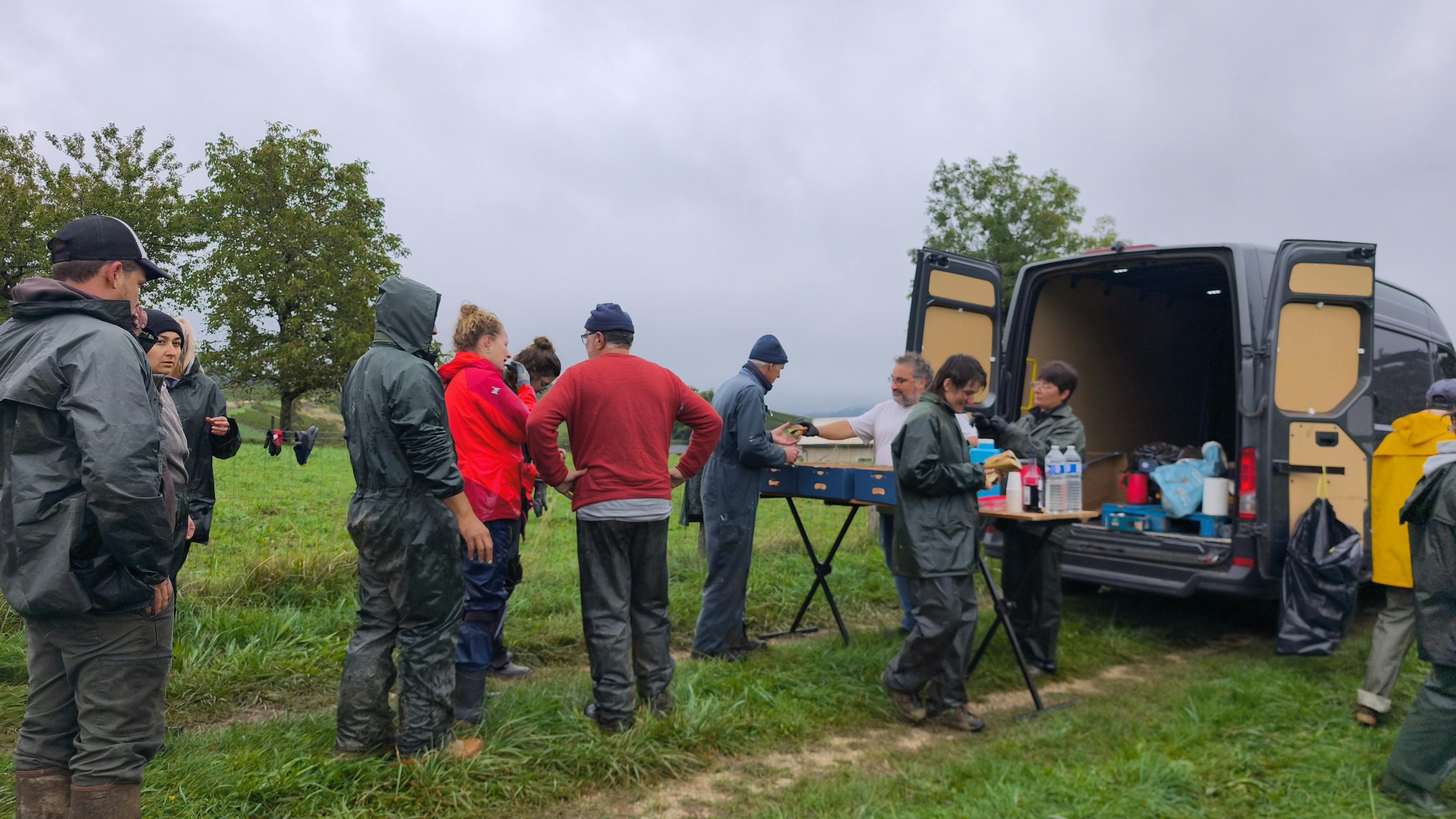 Juvénal distribue les pique nique
