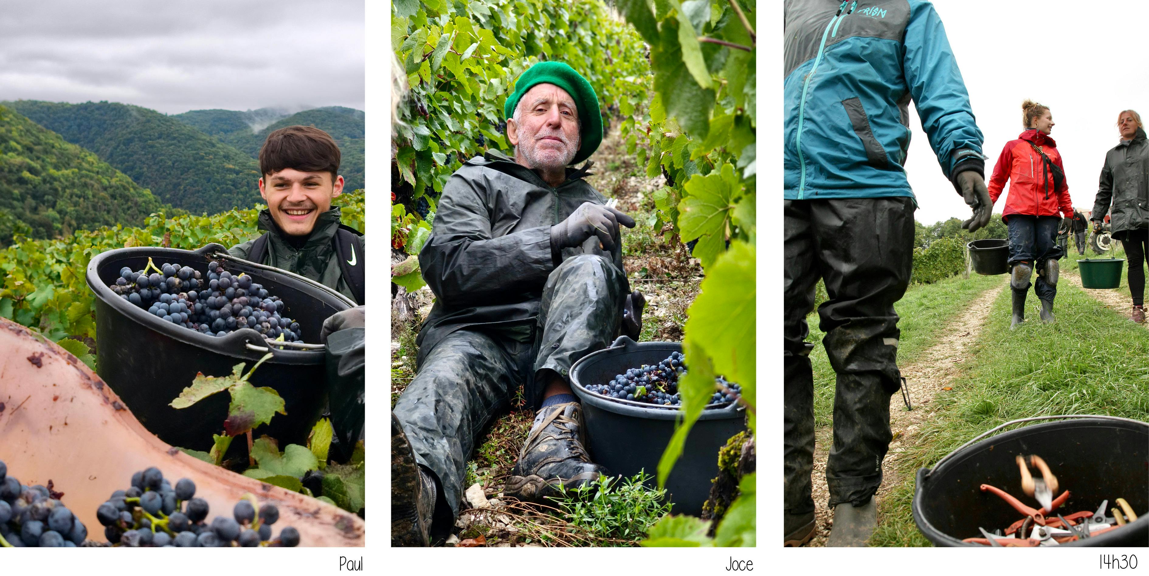 paul souriant, joce assis par terre, sécateur dans le seau