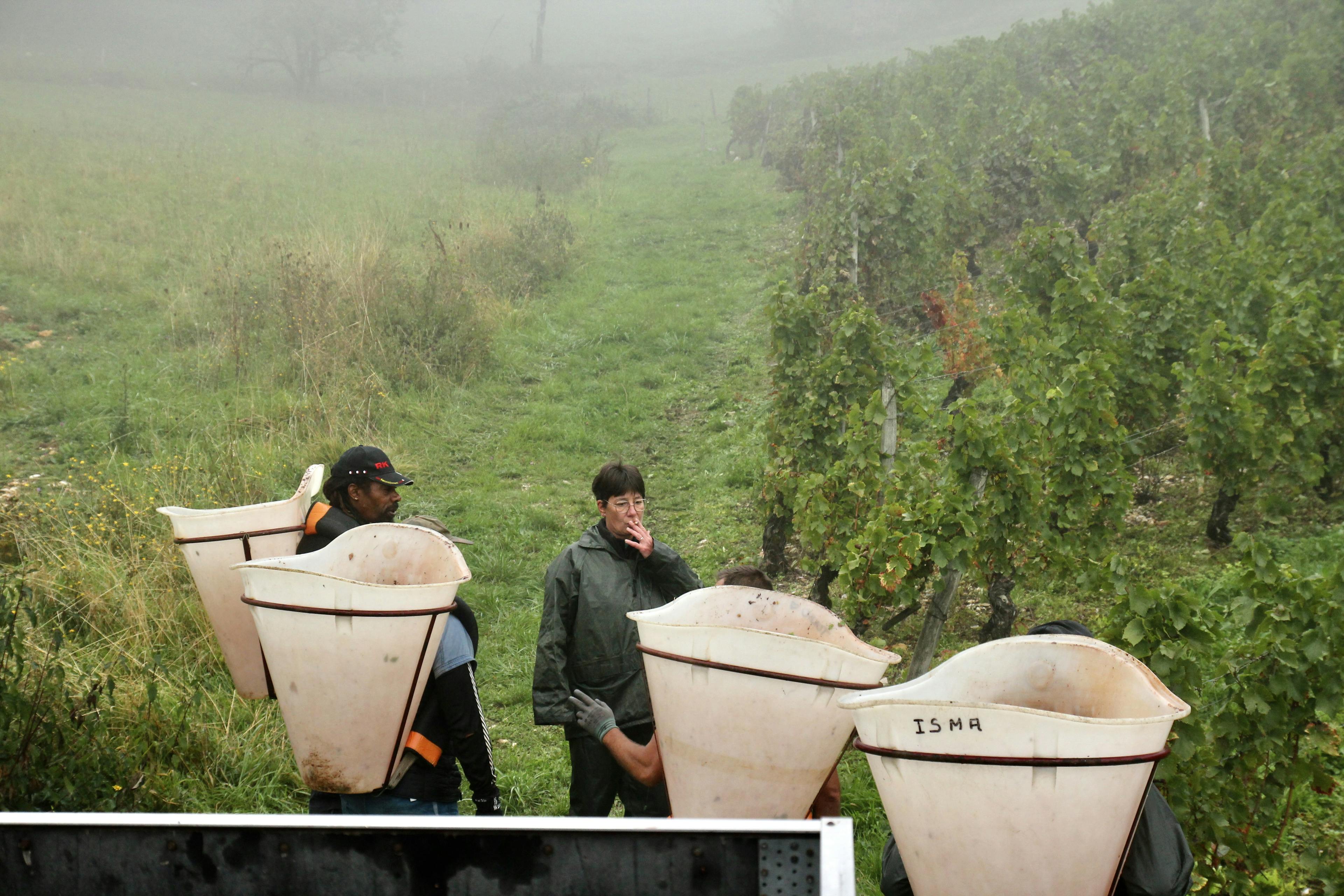 Muriel et les porteurs