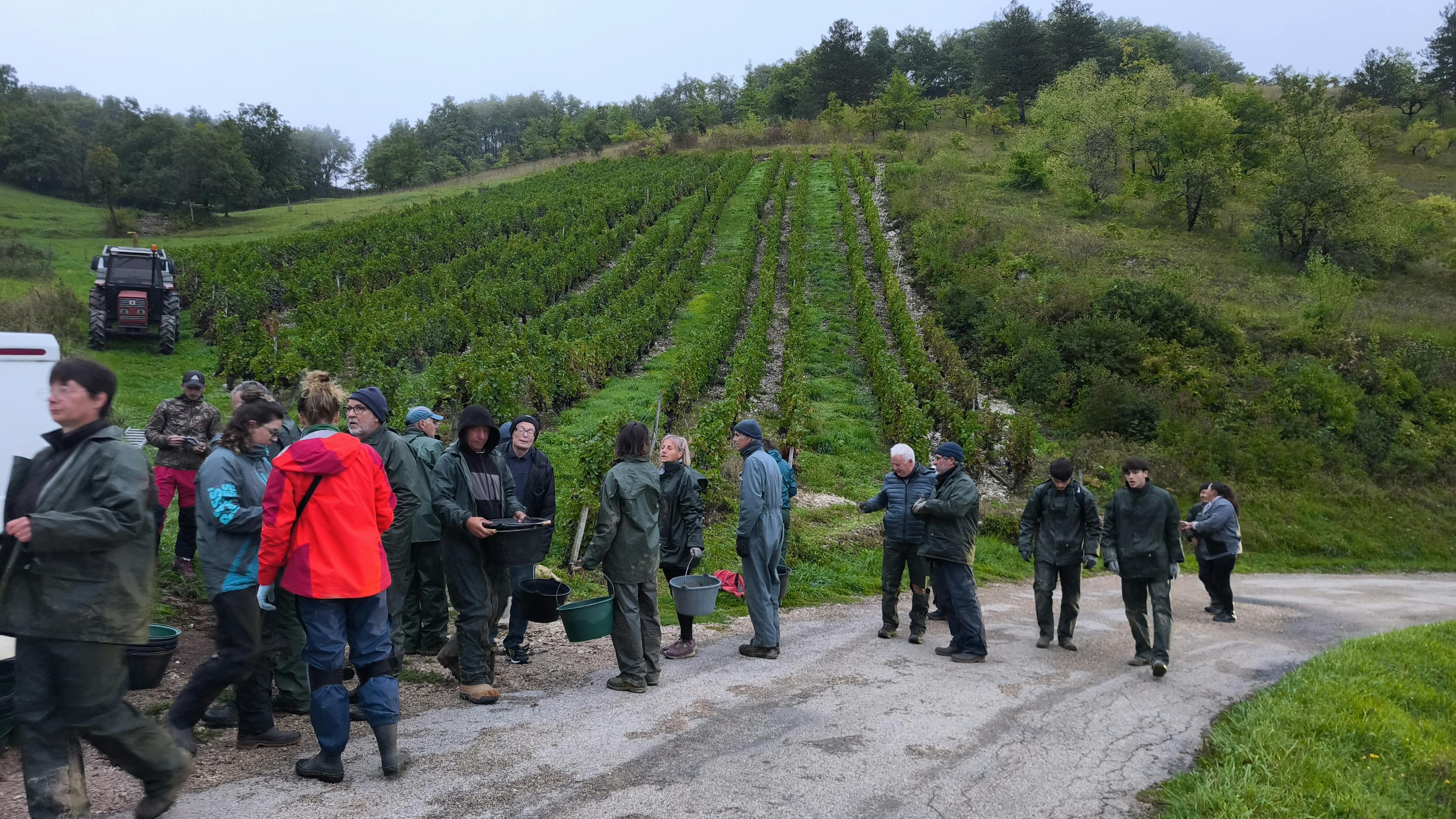 répartition des binômes
