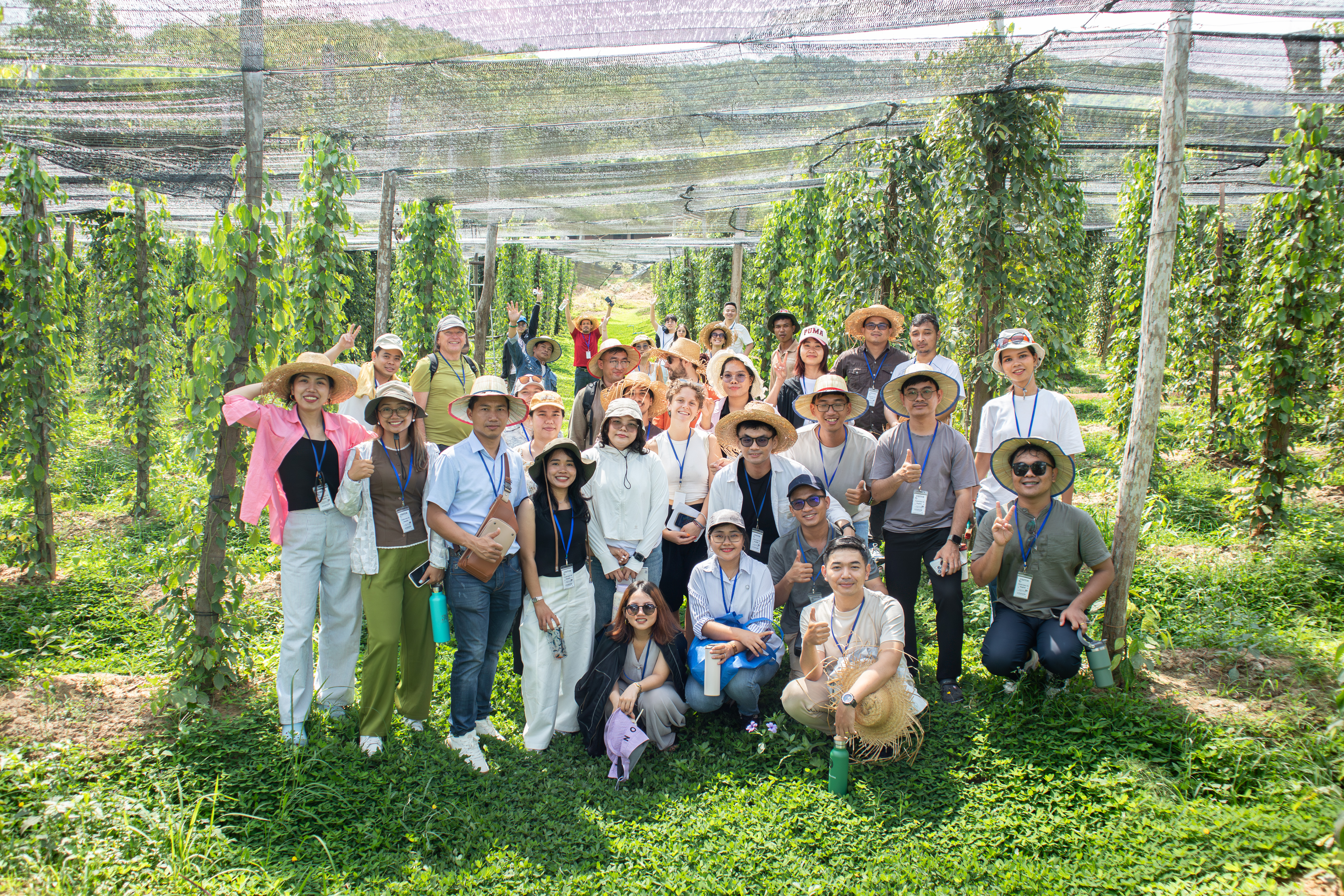 étudiants plantation de poivre