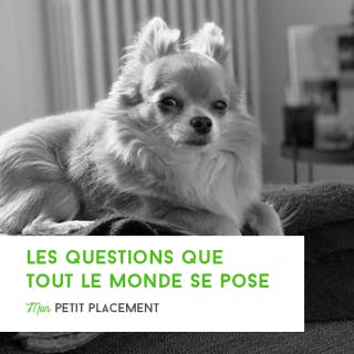 Les questions que tout le monde se pose !