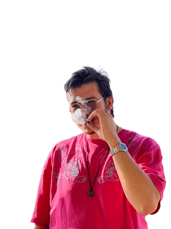 Luca Parmeggiani avatar