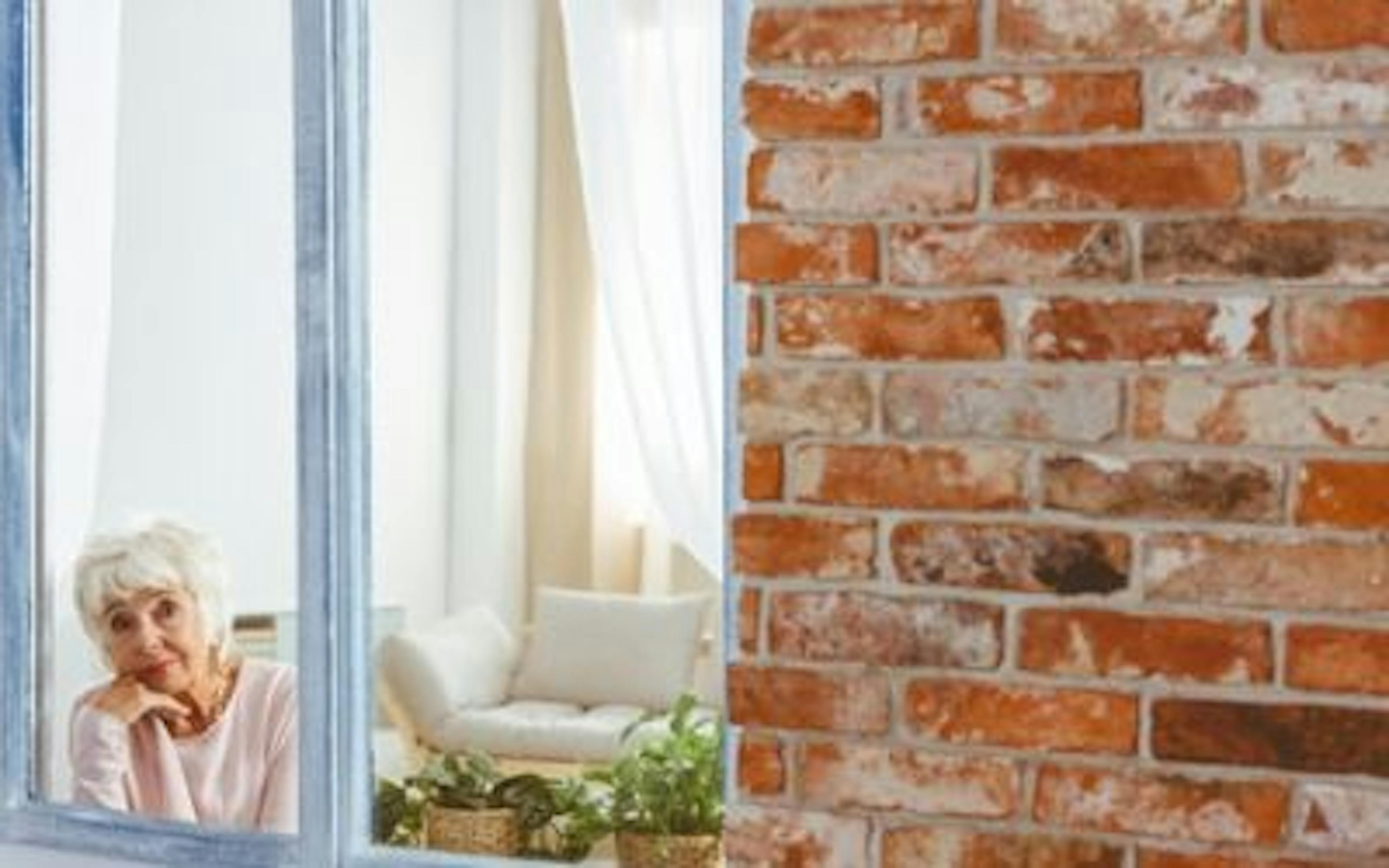 Privacy blinds nz