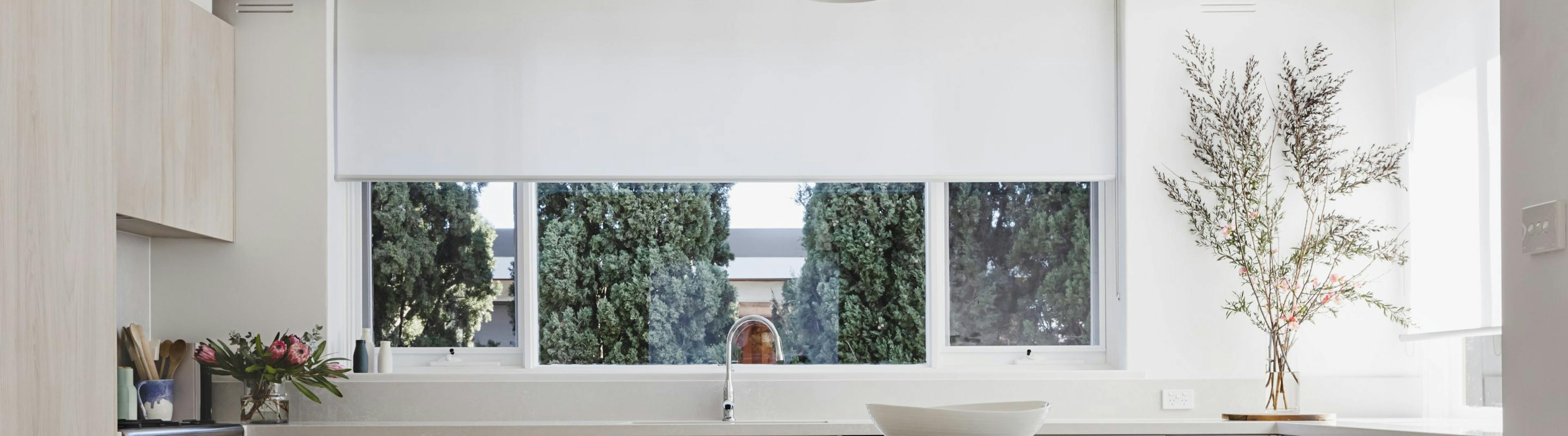 roller blinds auckland