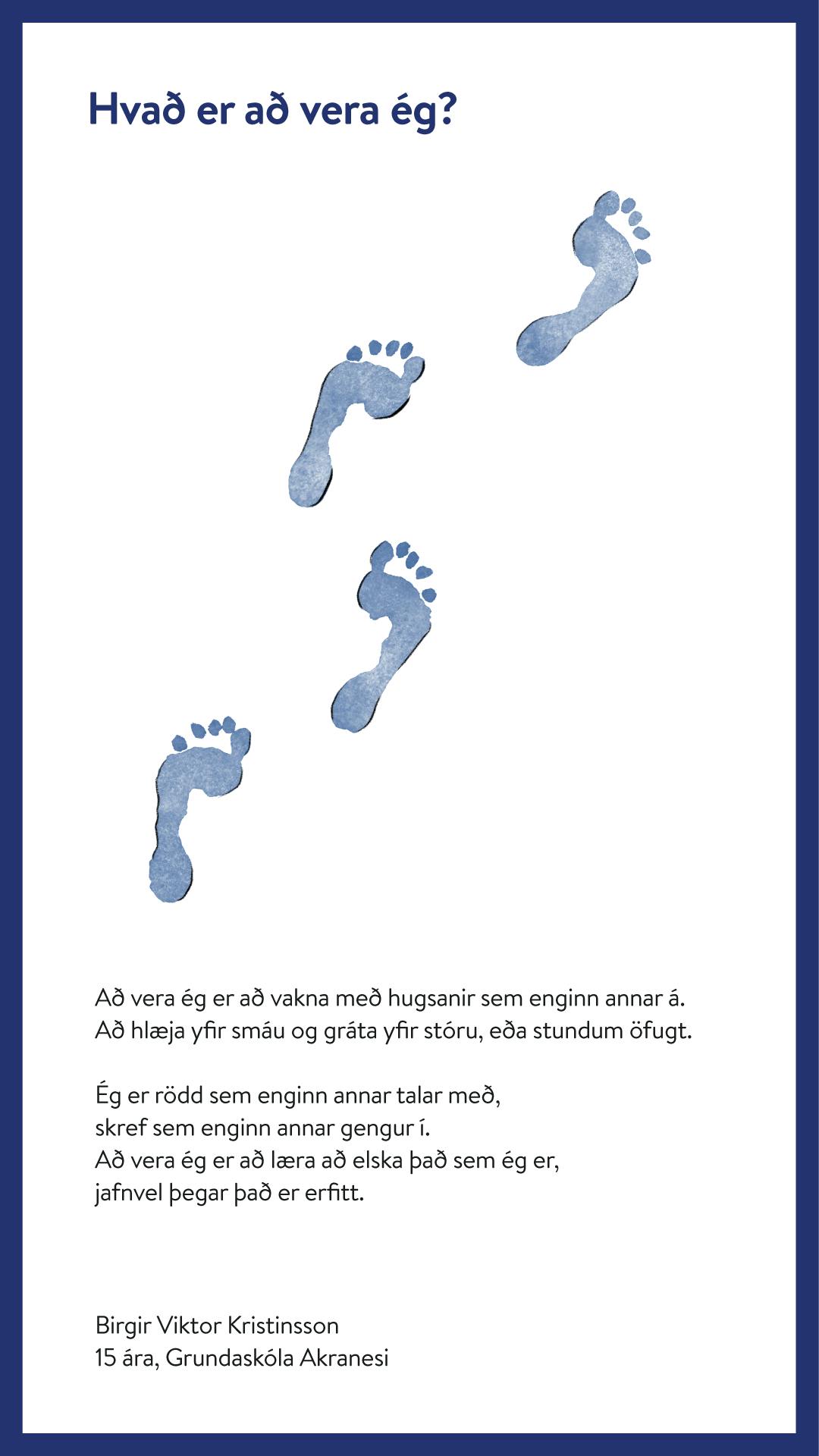 Birgir Viktor Kristinsson