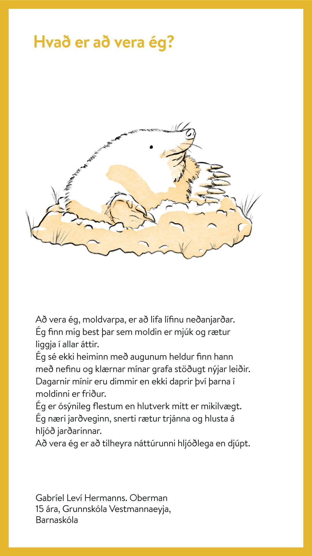 Gabríel Leví Hermanns. Oberman