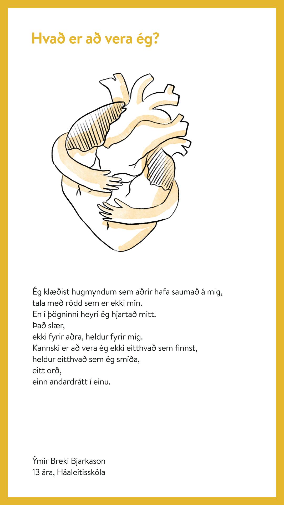 Ýmir Breki Bjarkason