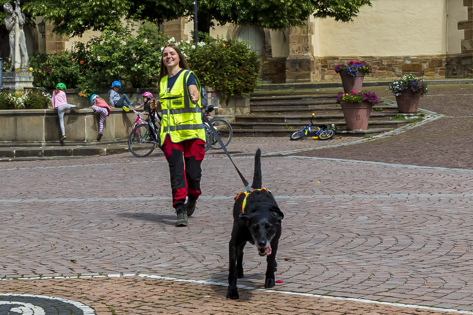 Deutsch Kurzhaar Doodle Hündin Lotte in Aktion