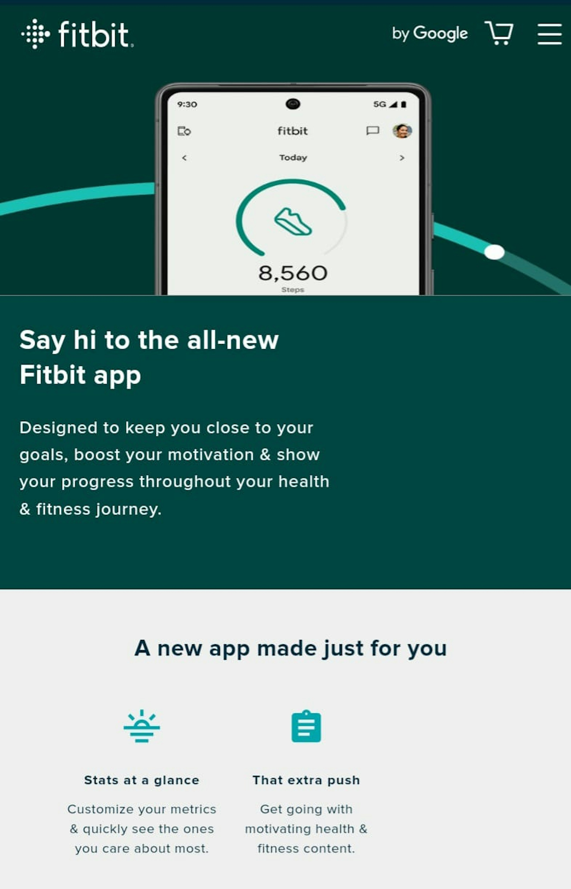 Example: Fitbit