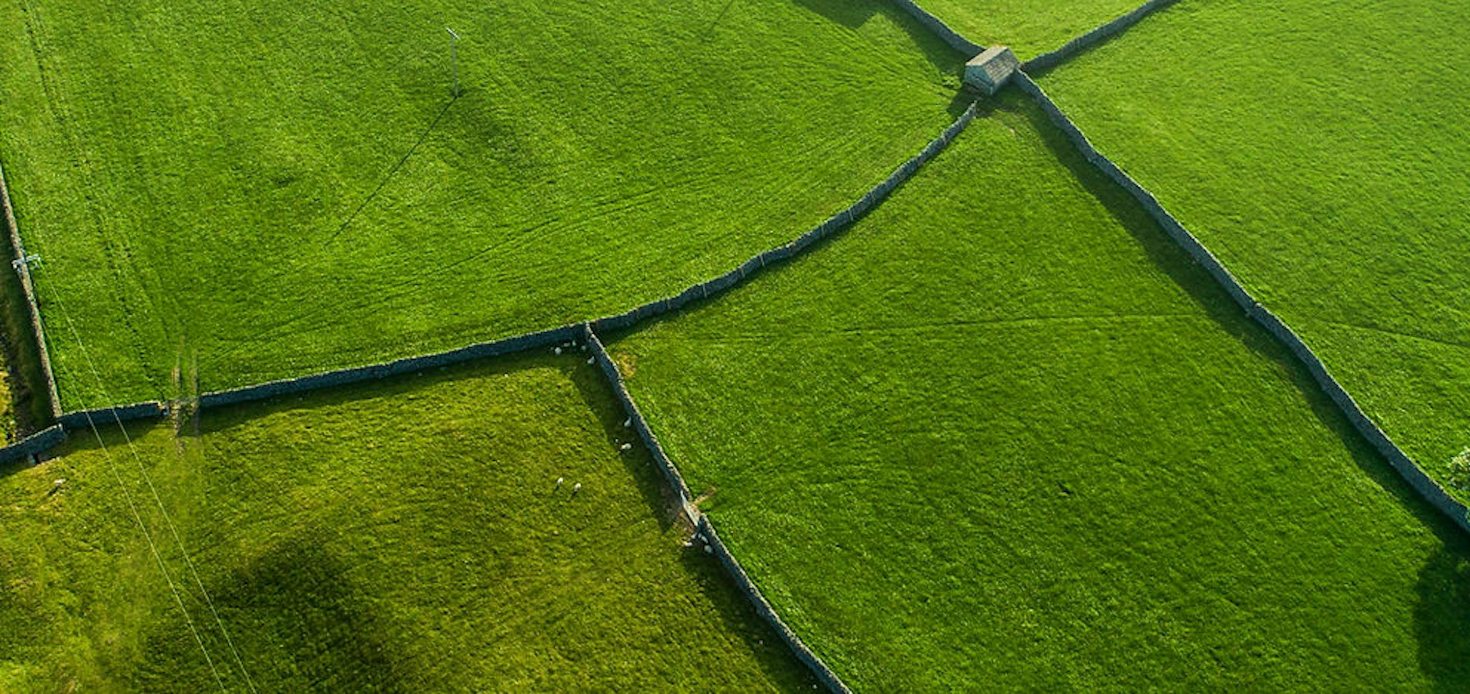 Irish farmland