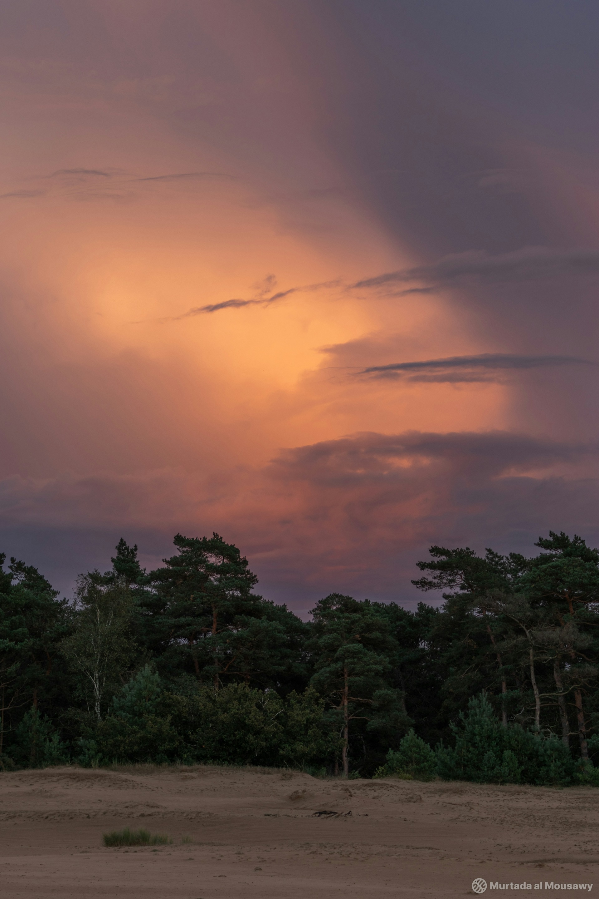 The photo shows a beautiful sunset sky over a forest. The sky is a mix of pink and purple, with wispy clouds. The forest is silhouetted against the sky, creating a dark and mysterious scene. The ground is covered in sand, suggesting a beach or desert setting. The overall effect of the image is serene and peaceful.