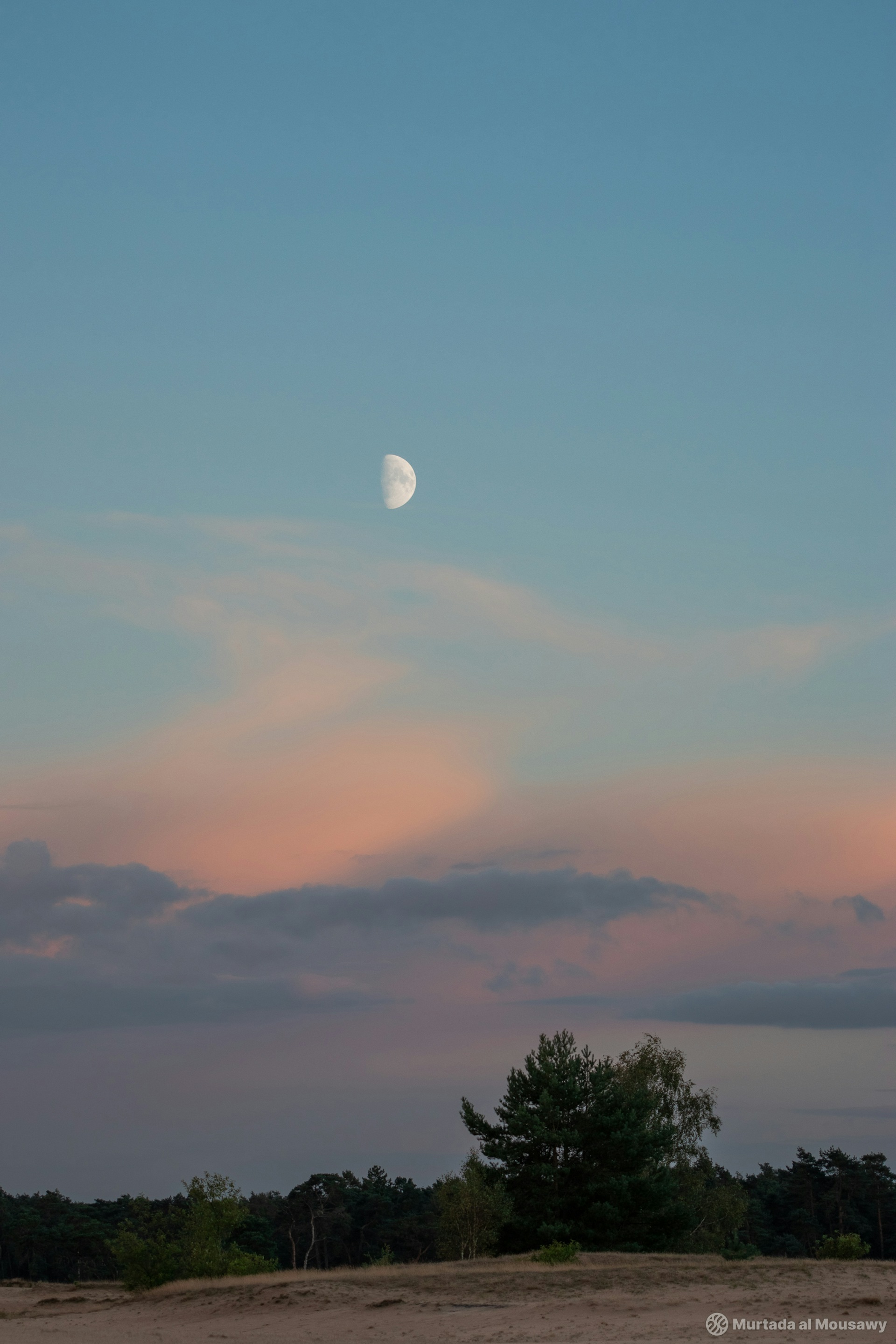 Half moon set against a sky with pink and blue clouds over a landscape with trees and sand.