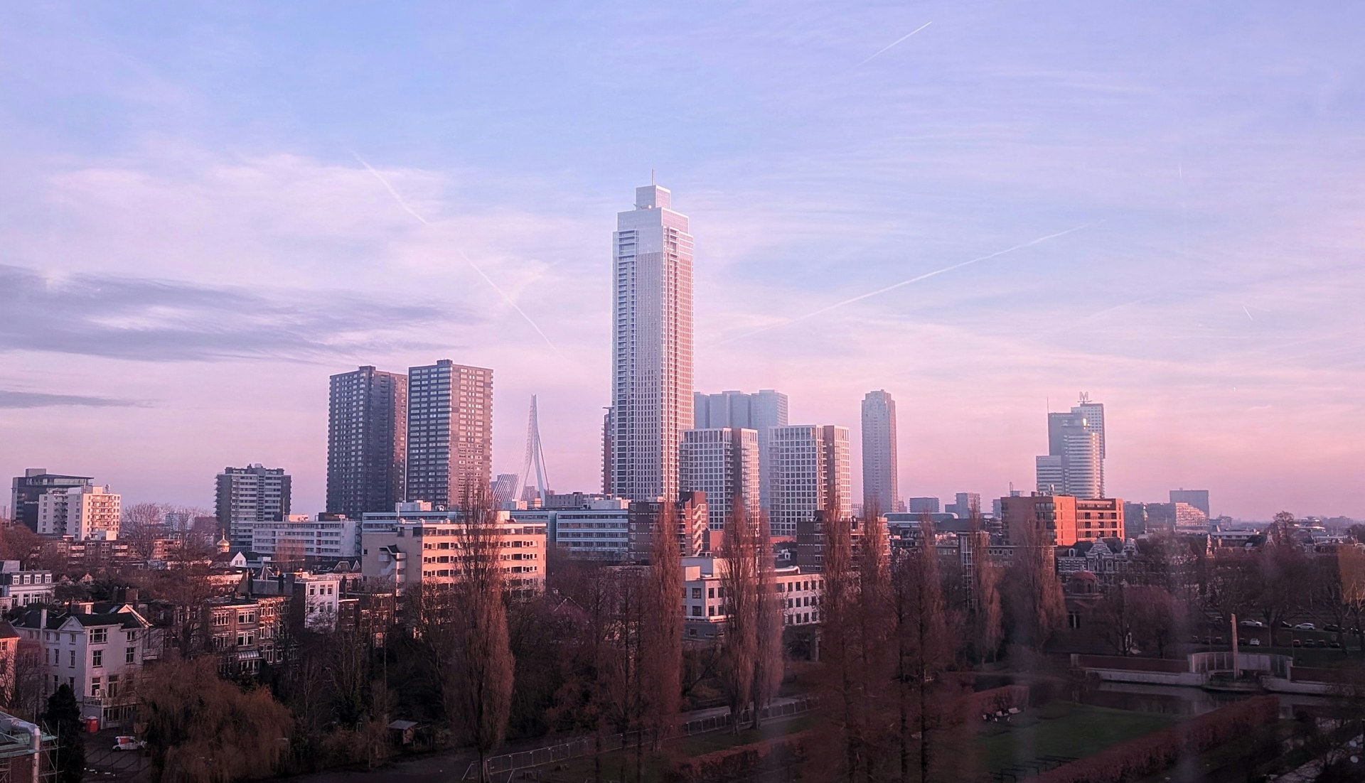 Rotterdam skyline from The Depot Boijmans rooftop