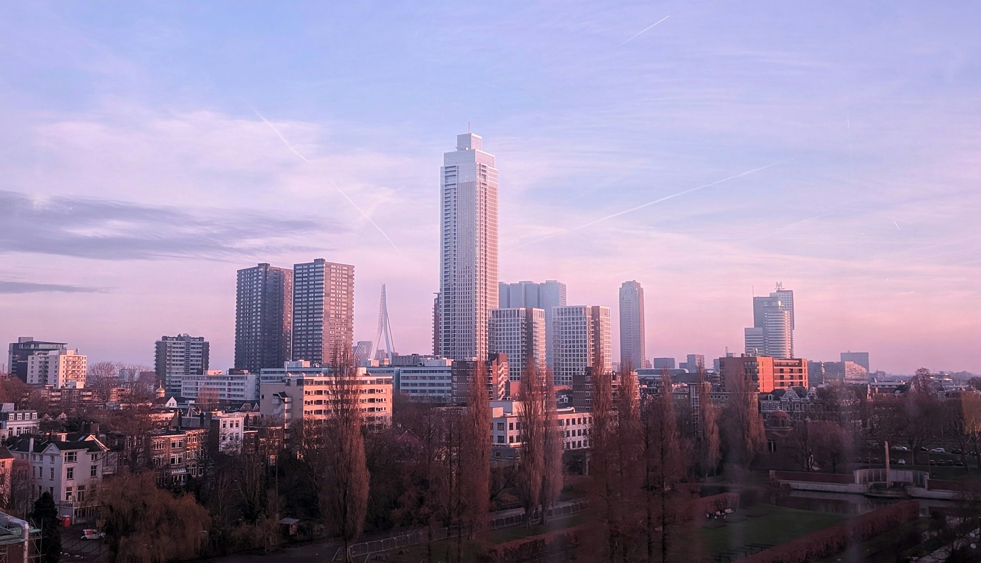 Rotterdam skyline from The Depot Boijmans rooftop