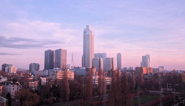 Rotterdam skyline from The Depot Boijmans rooftop