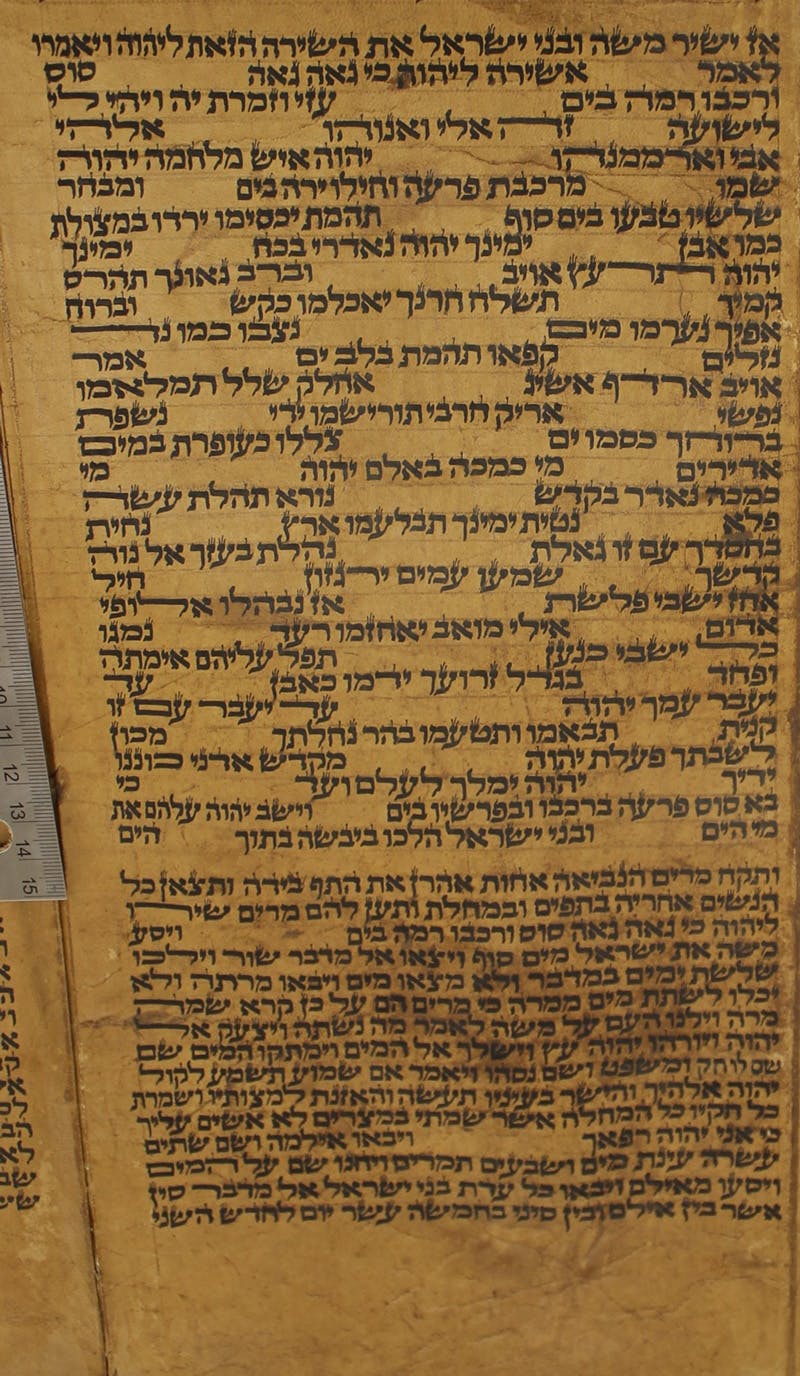 What Ancient Scrolls Teach Us about the Torah's Formation 