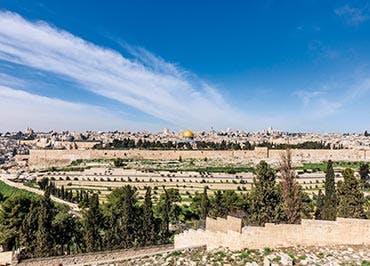 Link for Museum of the Bible Israel Tour