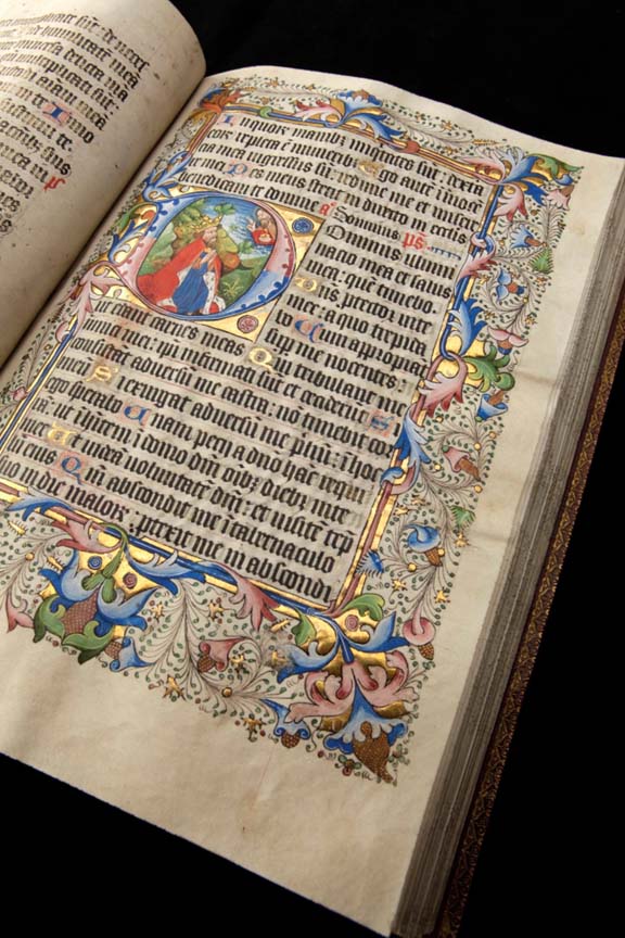 What the Bible Says about Nature Museum of the Bible