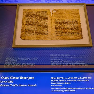 Welcome to Our Family! | Museum of the Bible