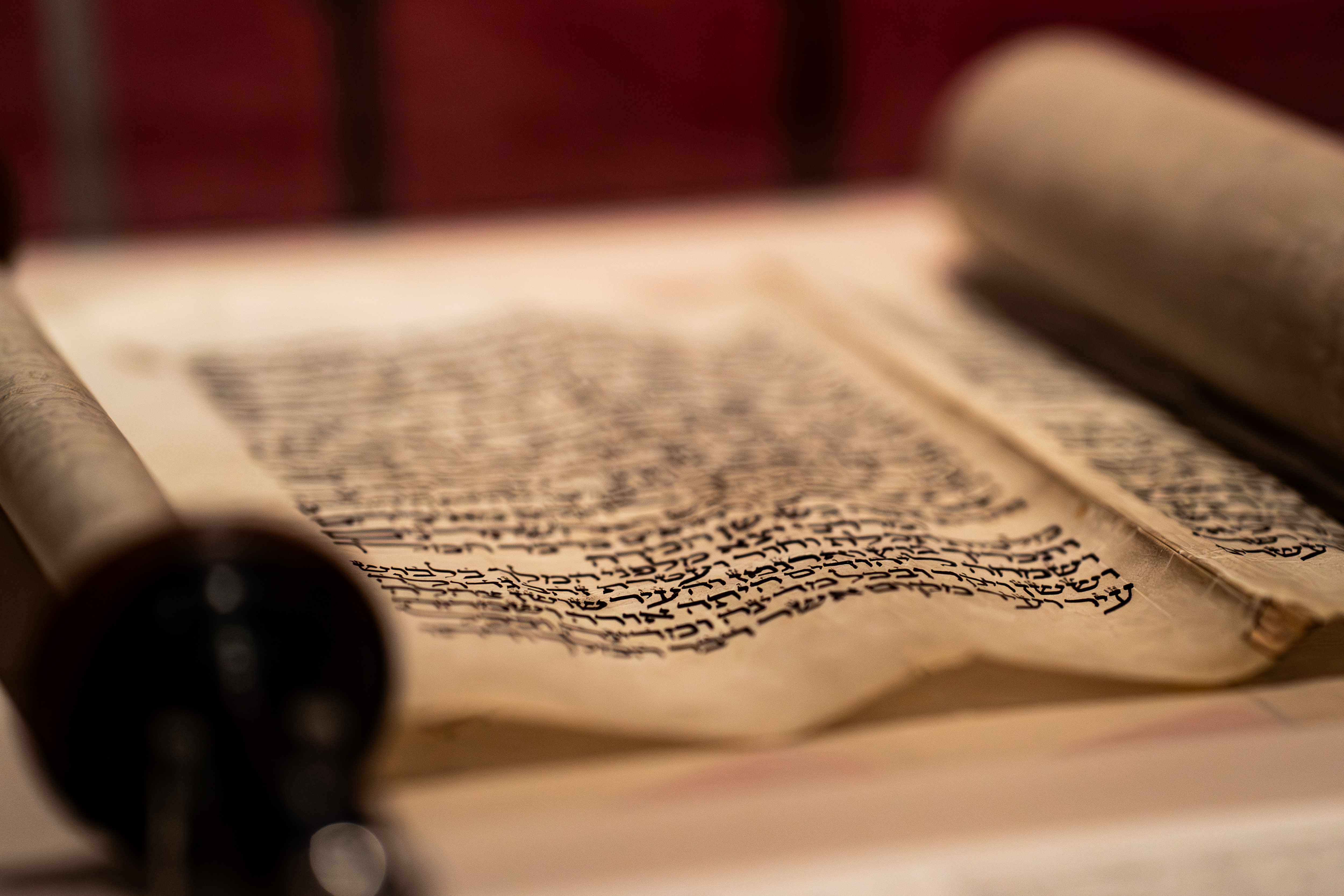 The Esther Scroll: A Legacy of Strength and Leadership - Read full article