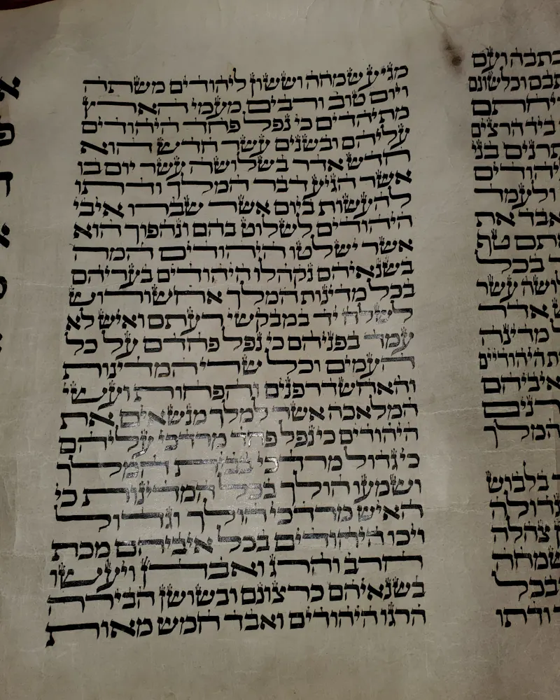 Esther Scroll, Courtesy of Congregation Shearith Israel, New York.