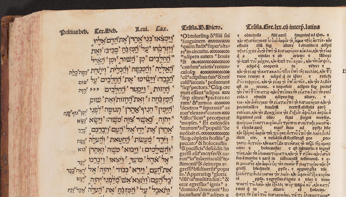 Digitizing the Polyglot Bible