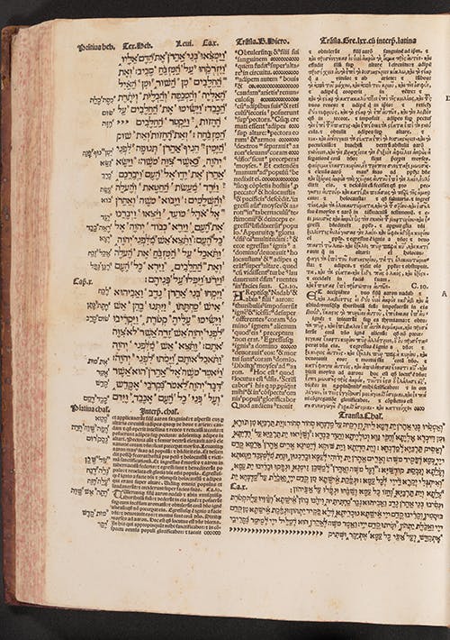Digitizing the Polyglot Bible